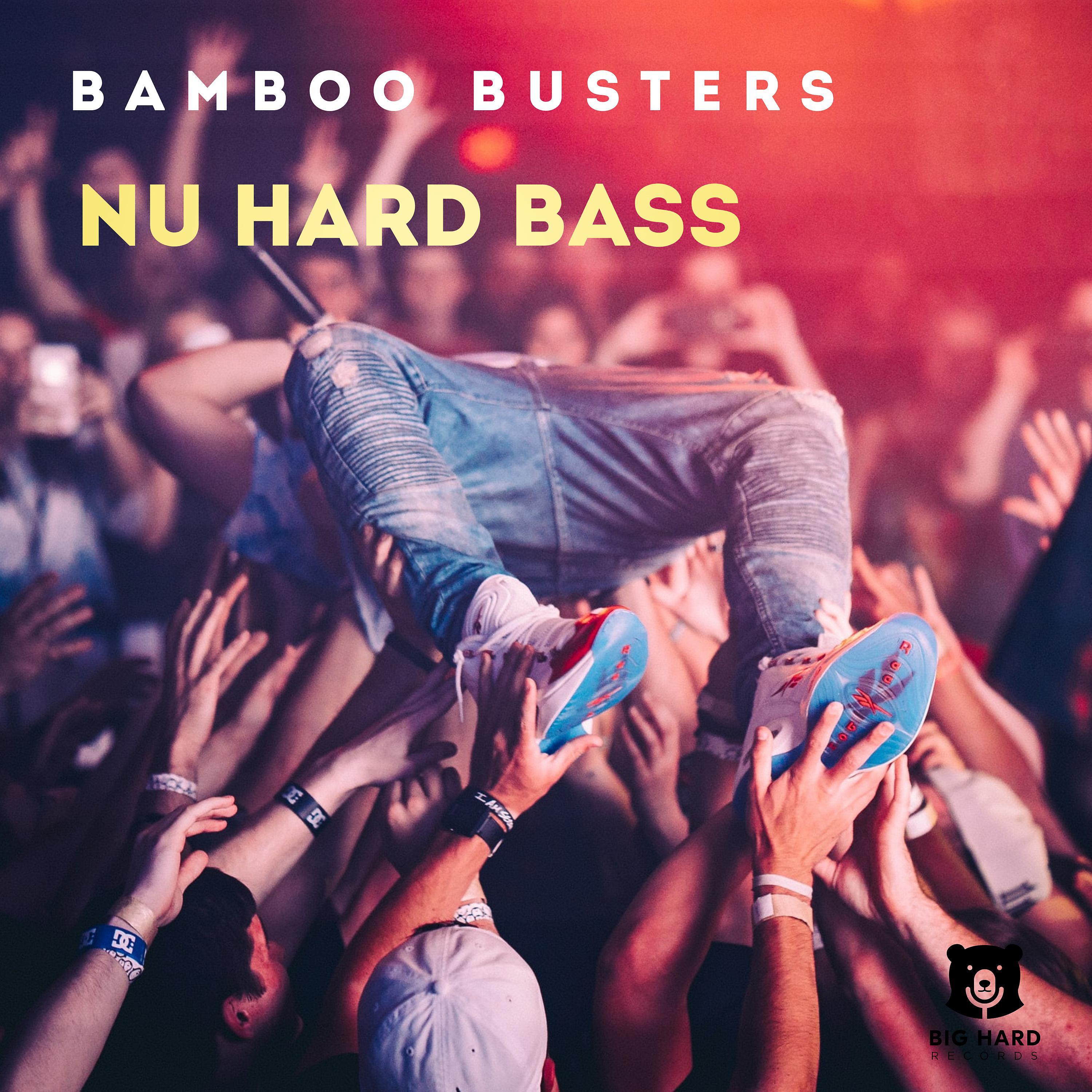 Постер альбома Nu Hard Bass
