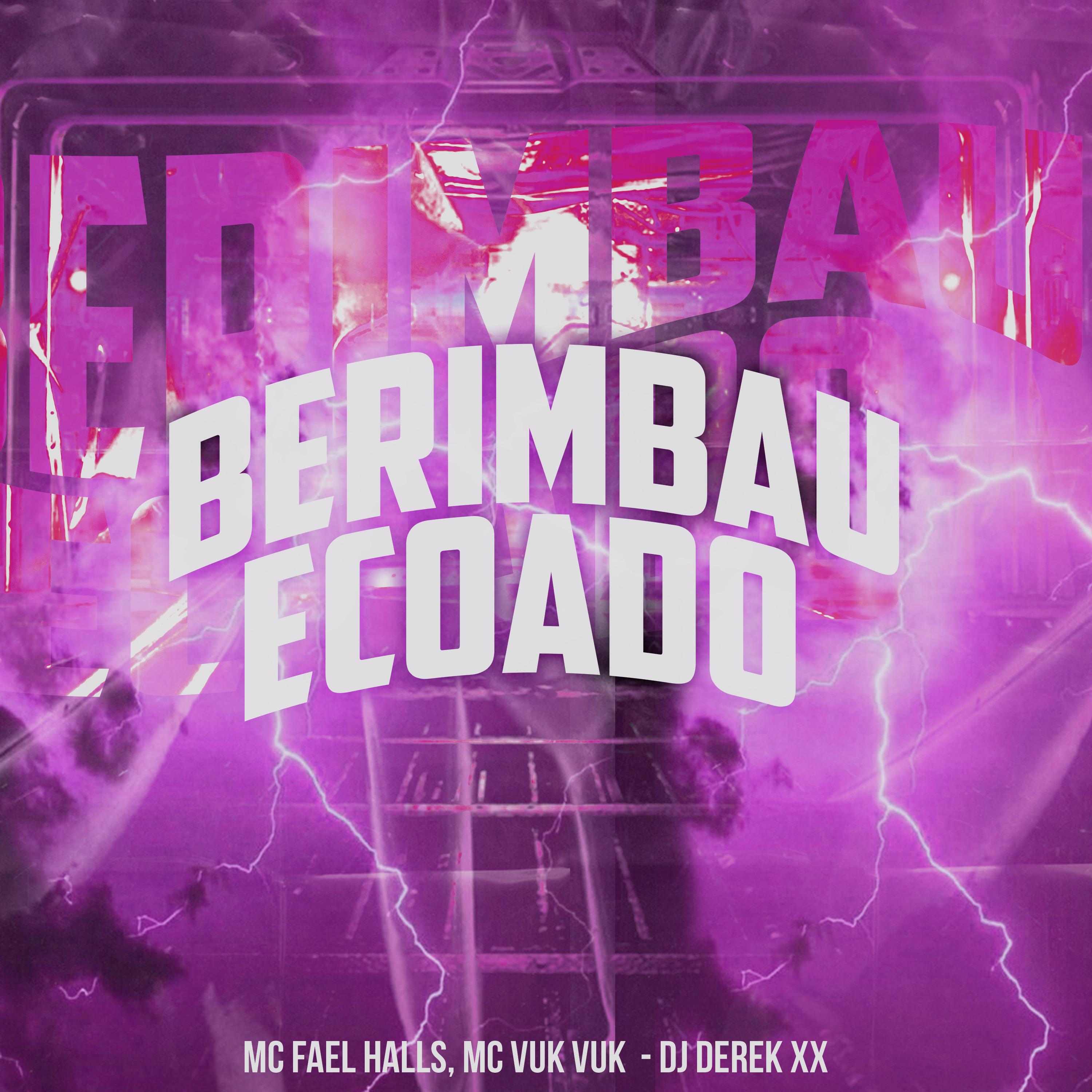 Постер альбома Berimbau Ecoado