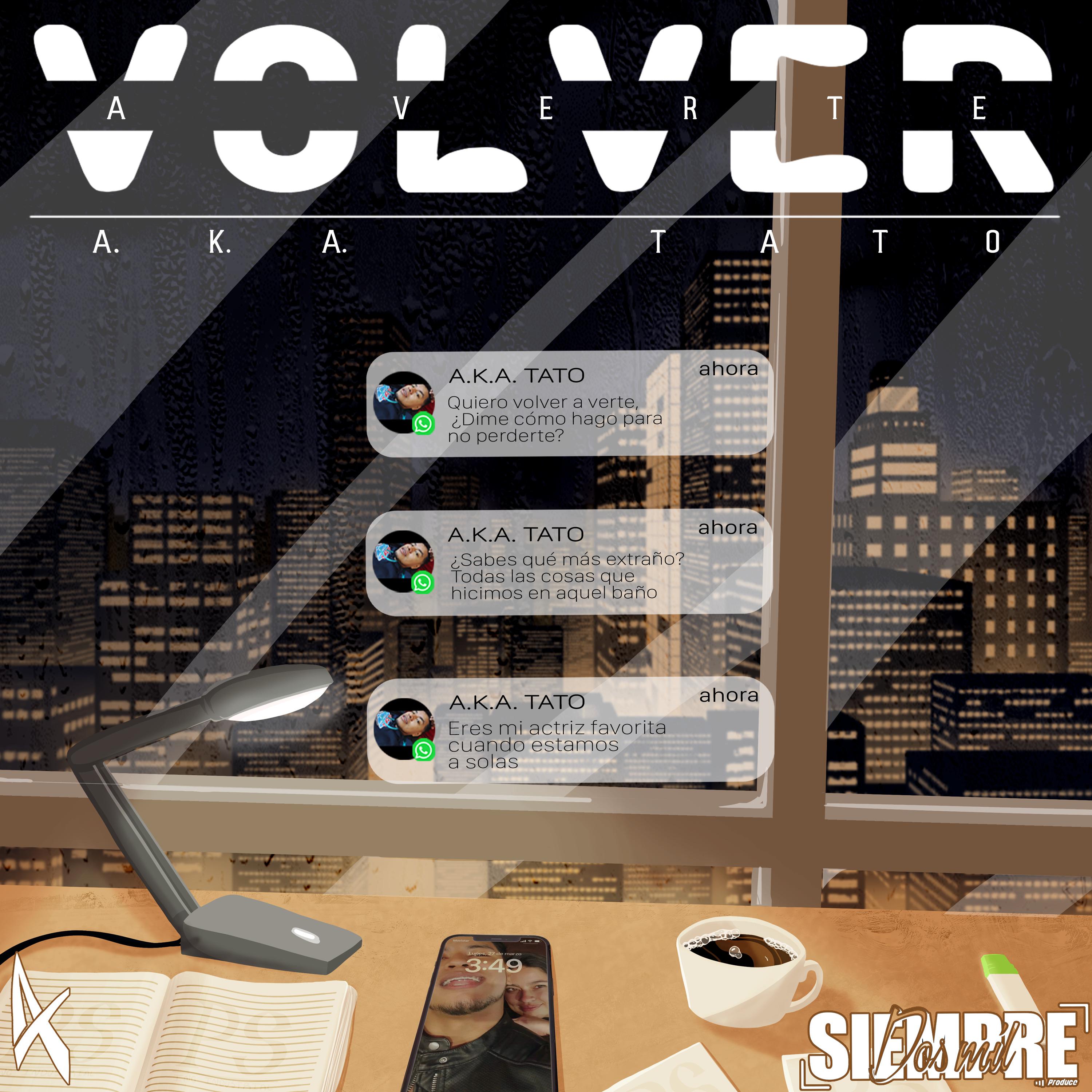 Постер альбома Volver a Verte