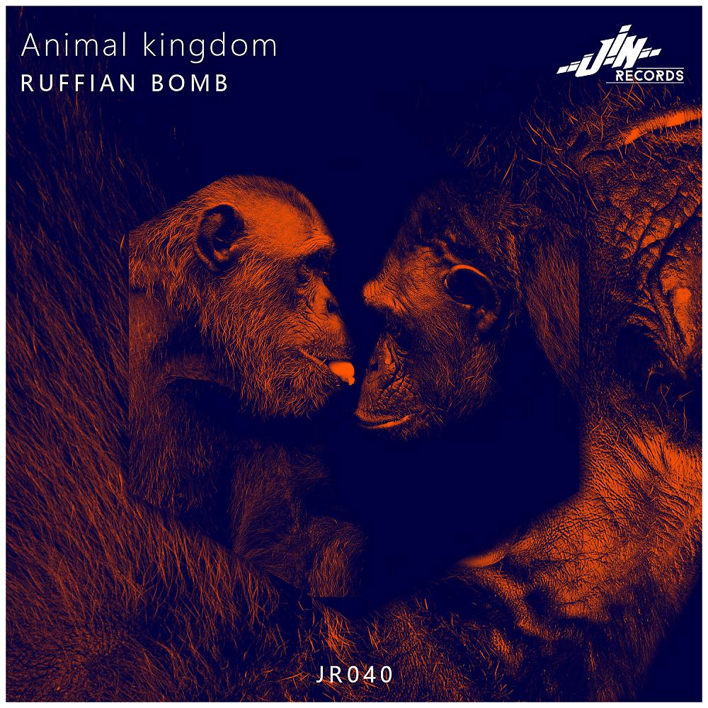 Постер альбома Animal Kingdom