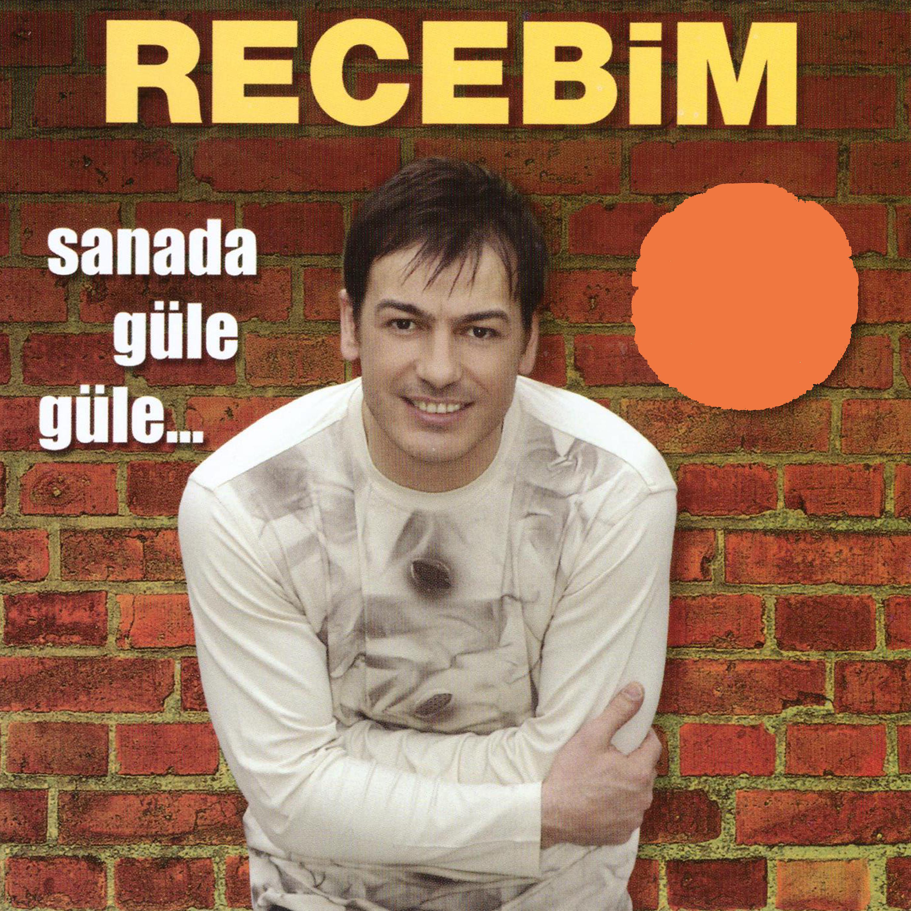 Постер альбома Sanada Güle Güle