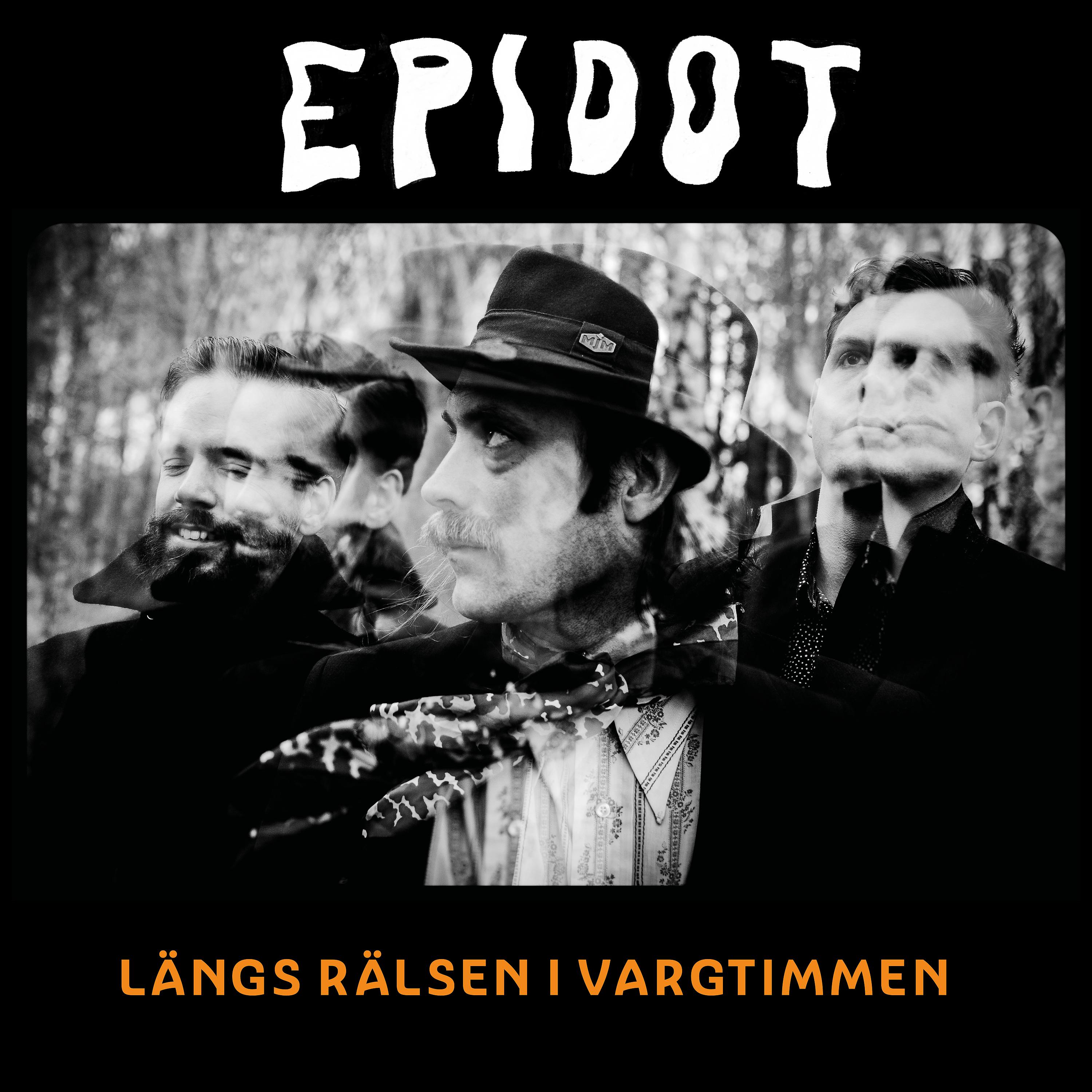 Постер альбома Längs rälsen i vargtimmen