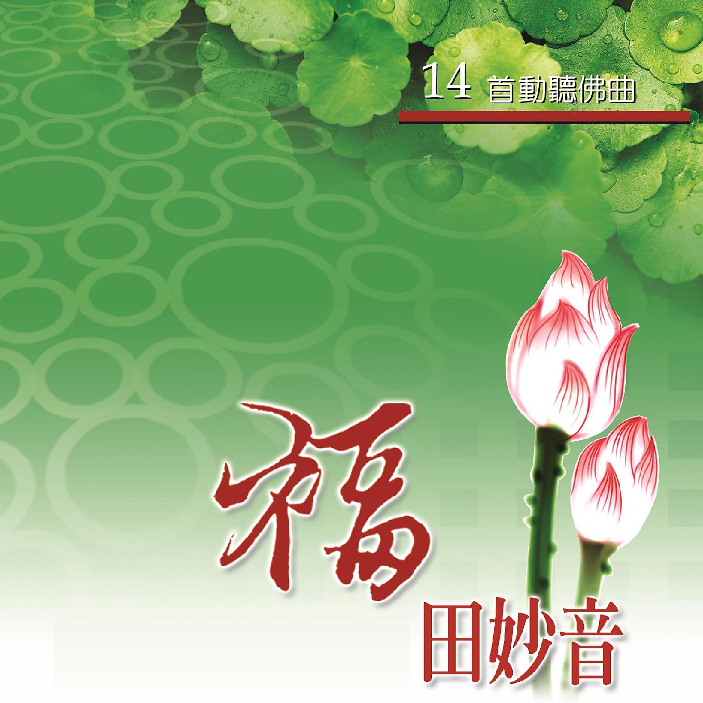 Постер альбома 福田妙音