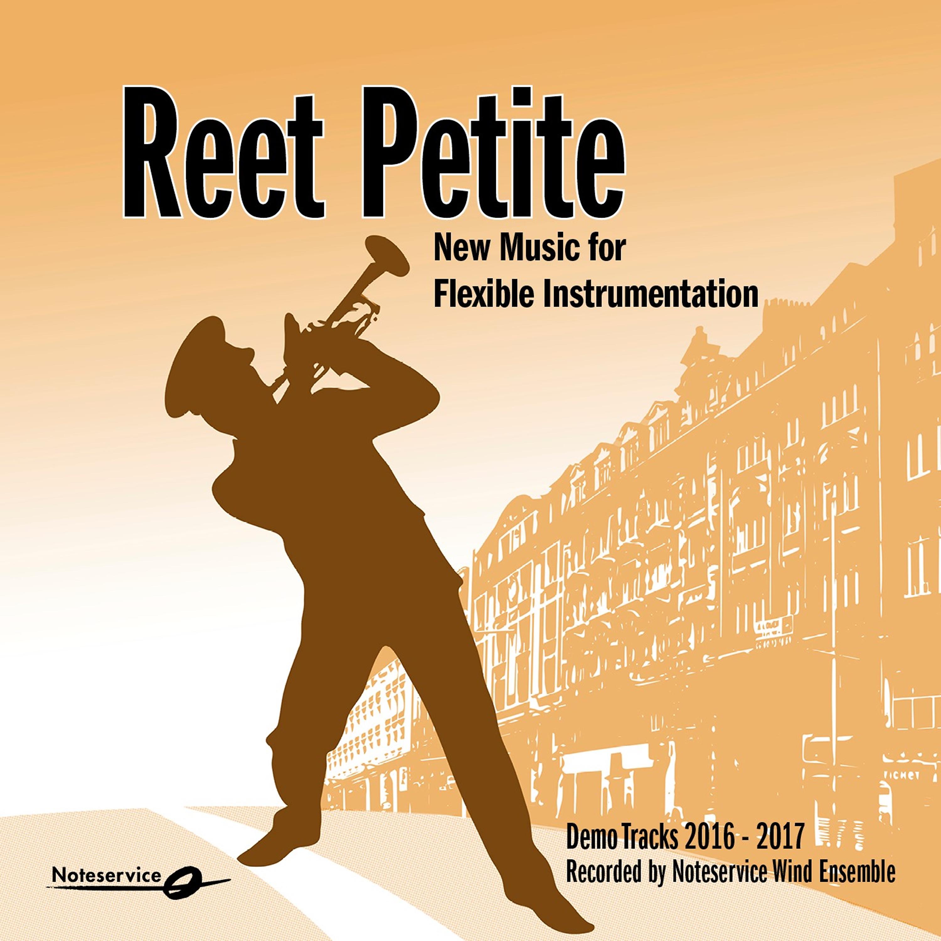 Постер альбома Reet Petite - New Music for Flexible Instrumentation - Demo Tracks 2016-2017