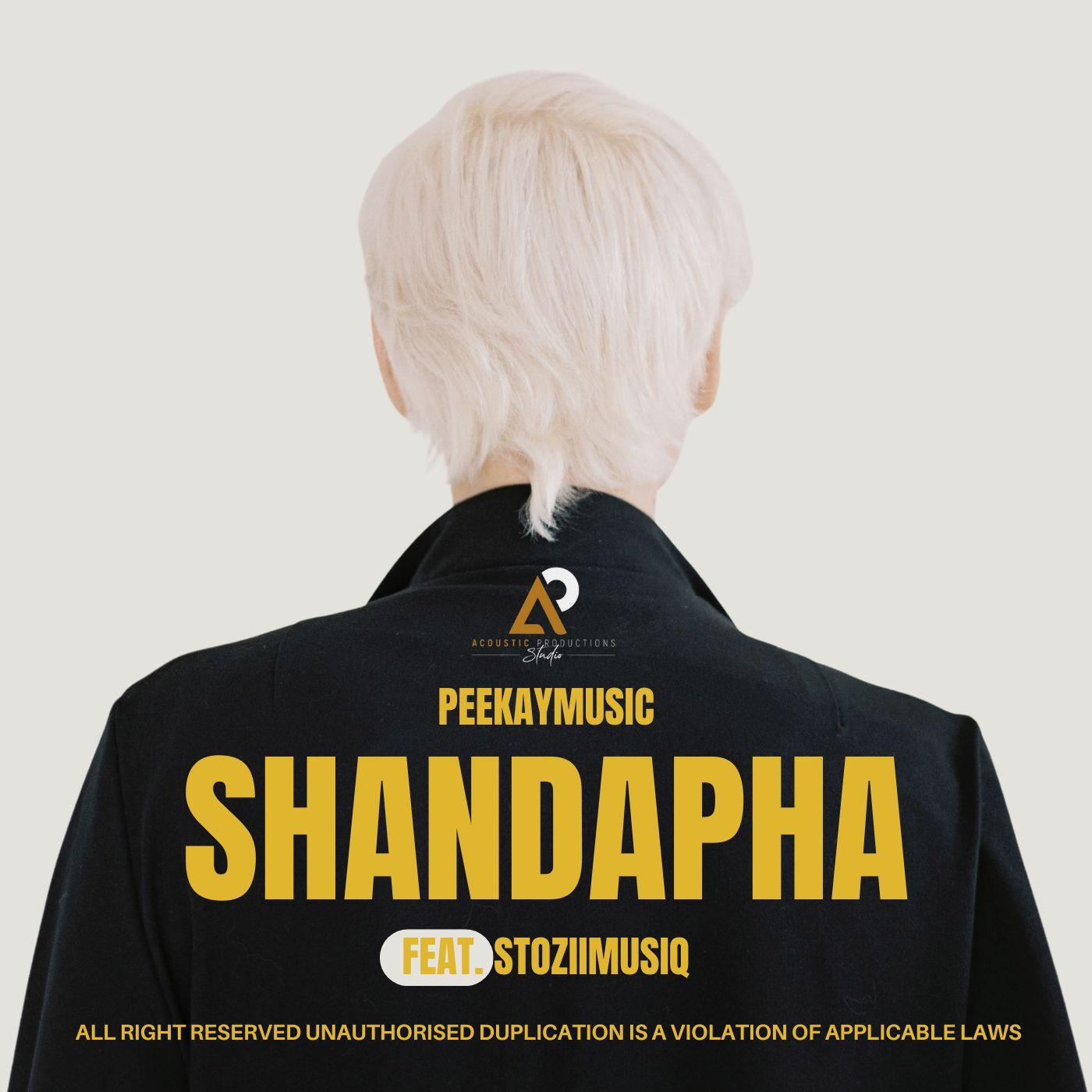 Постер альбома Shandapha (feat. Stoziimusiq)