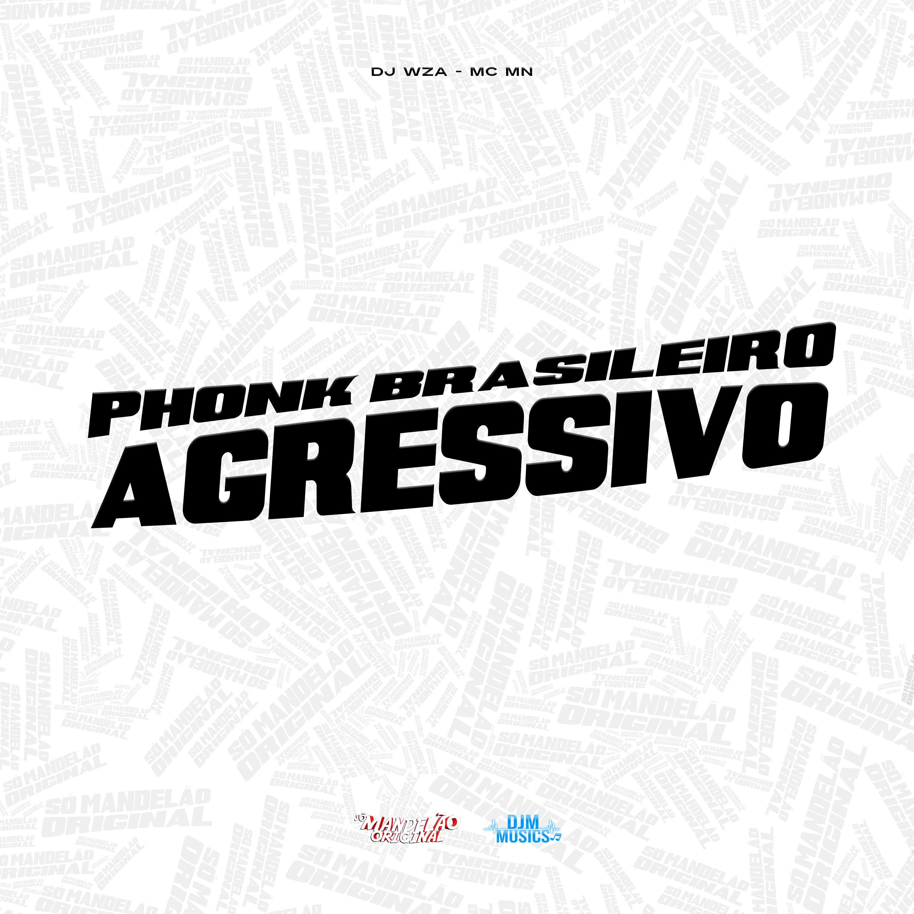 Постер альбома Phonk Brasileiro Agressivo
