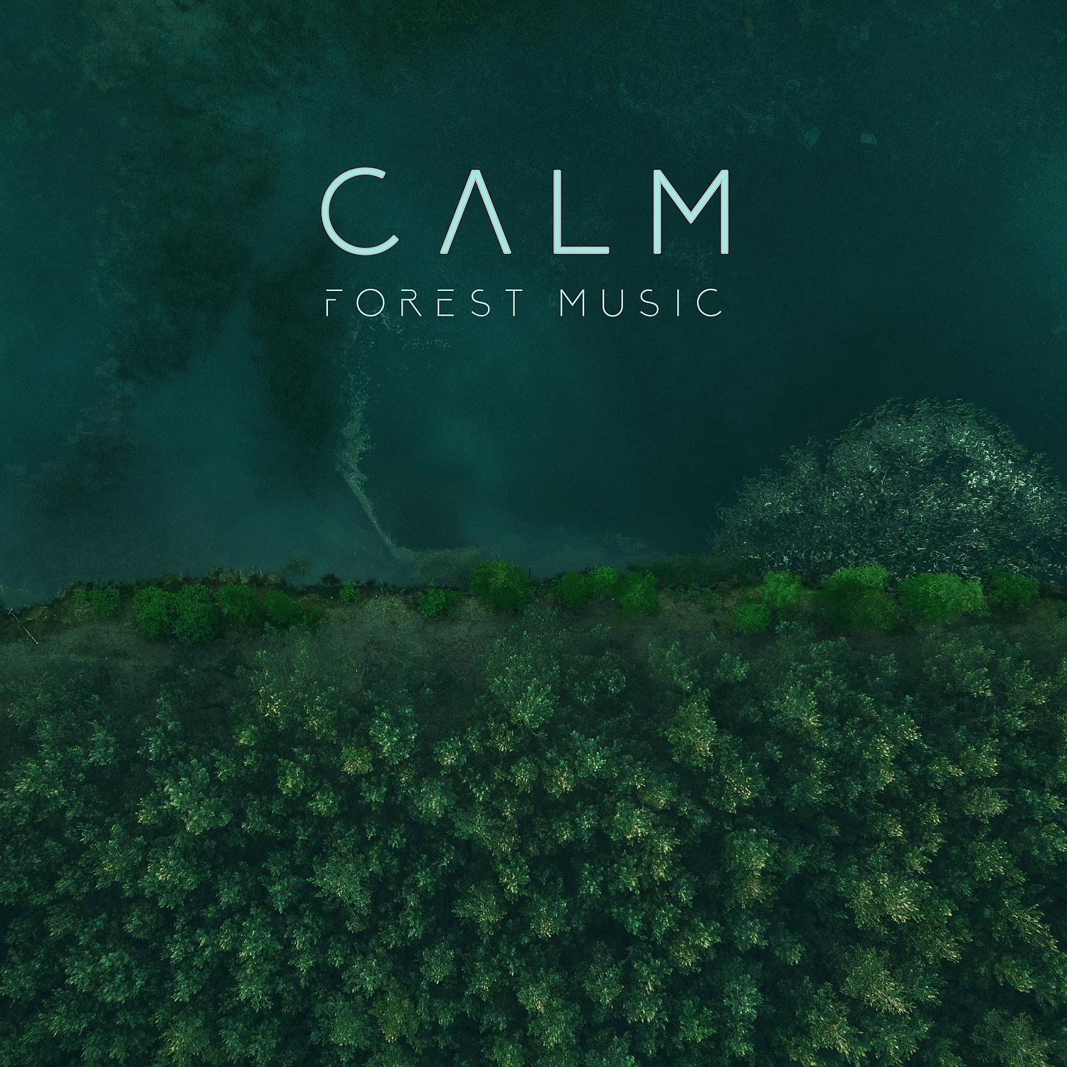 Постер альбома Calm Forest Music: Regenerating Green Experience, Forest Bathing, Shinrin-Yoku, Woodland Sounds for Your Inner Harmony