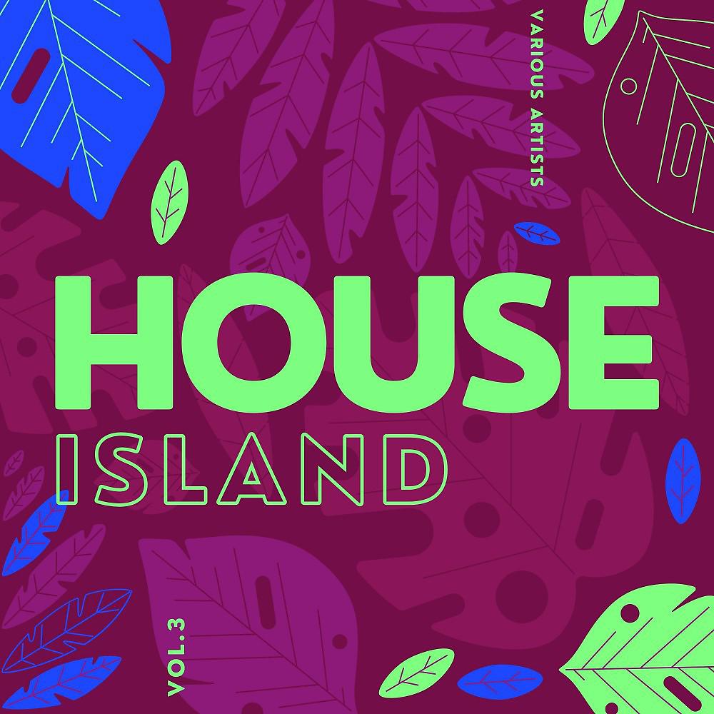 Постер альбома House Island, Vol. 3