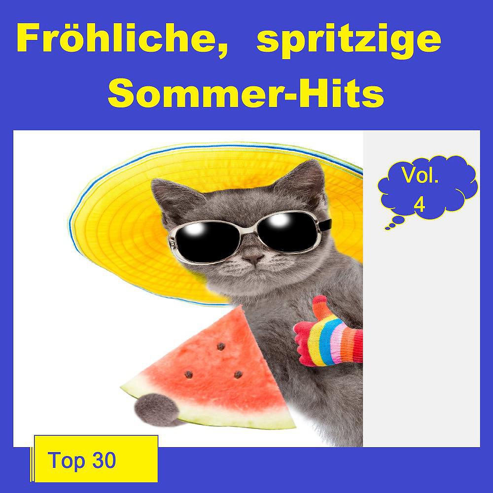 Постер альбома Top 24: Fröhliche, spritzige Sommer-Hits, Vol. 4