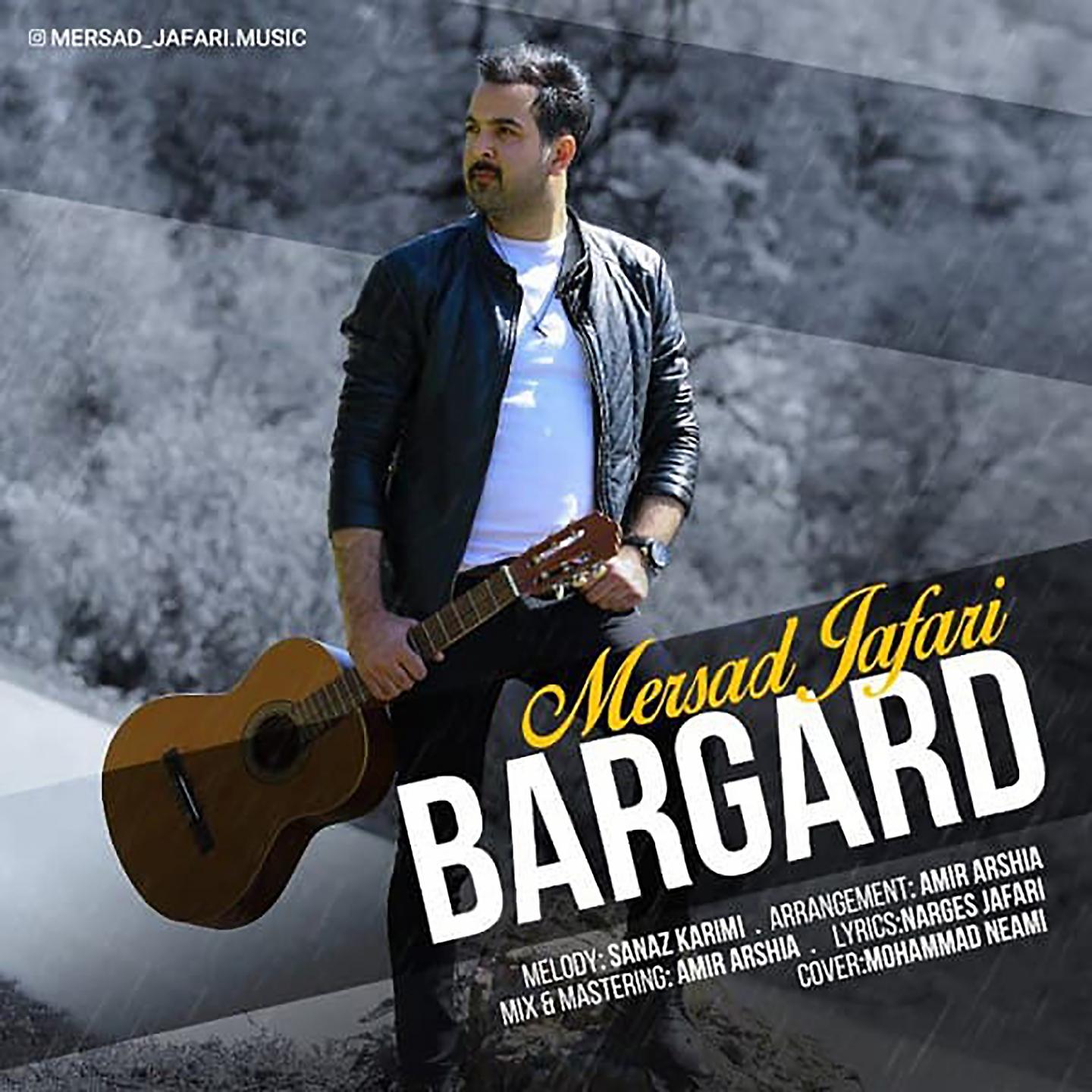 Постер альбома Bargard