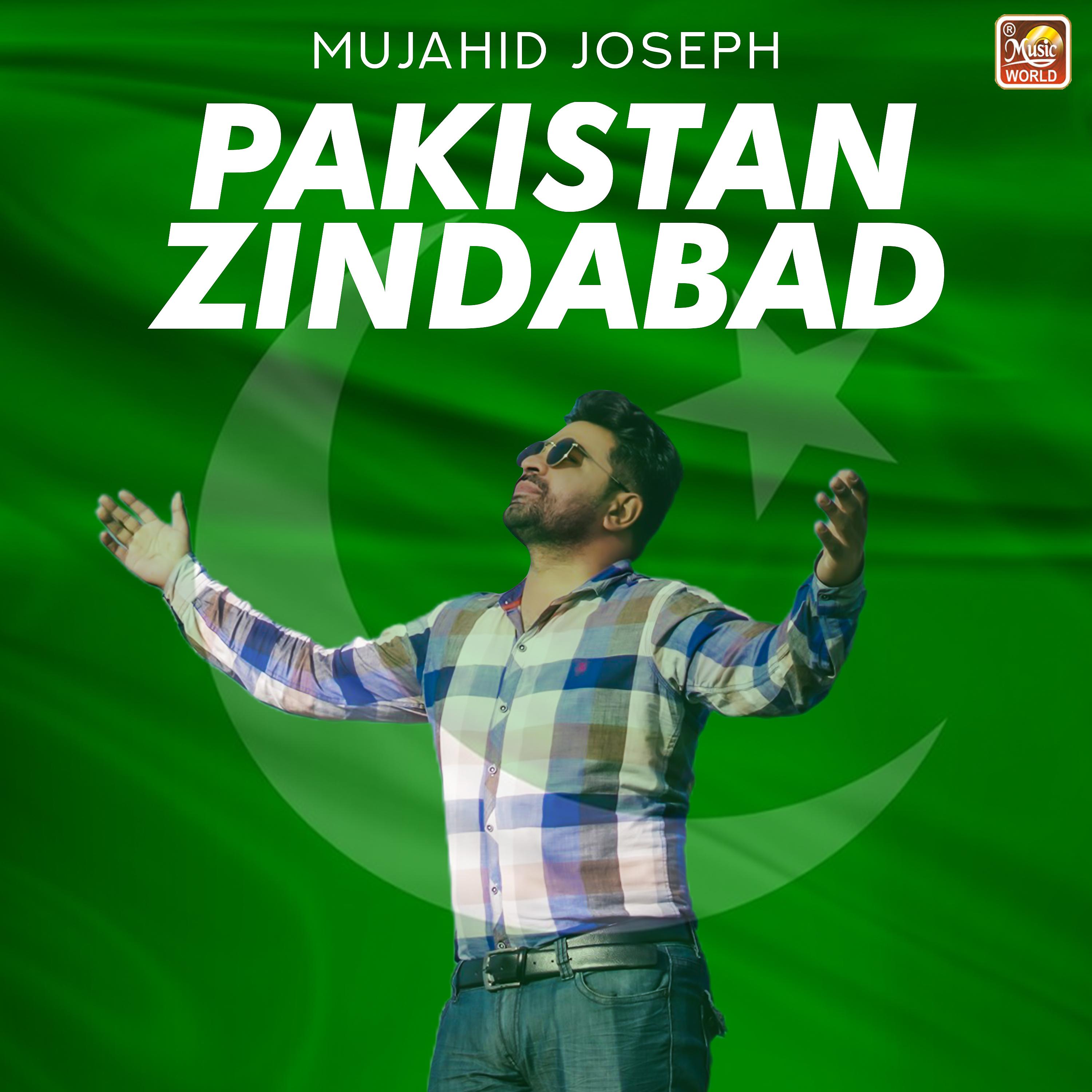 Постер альбома Pakistan Zindabad - Single