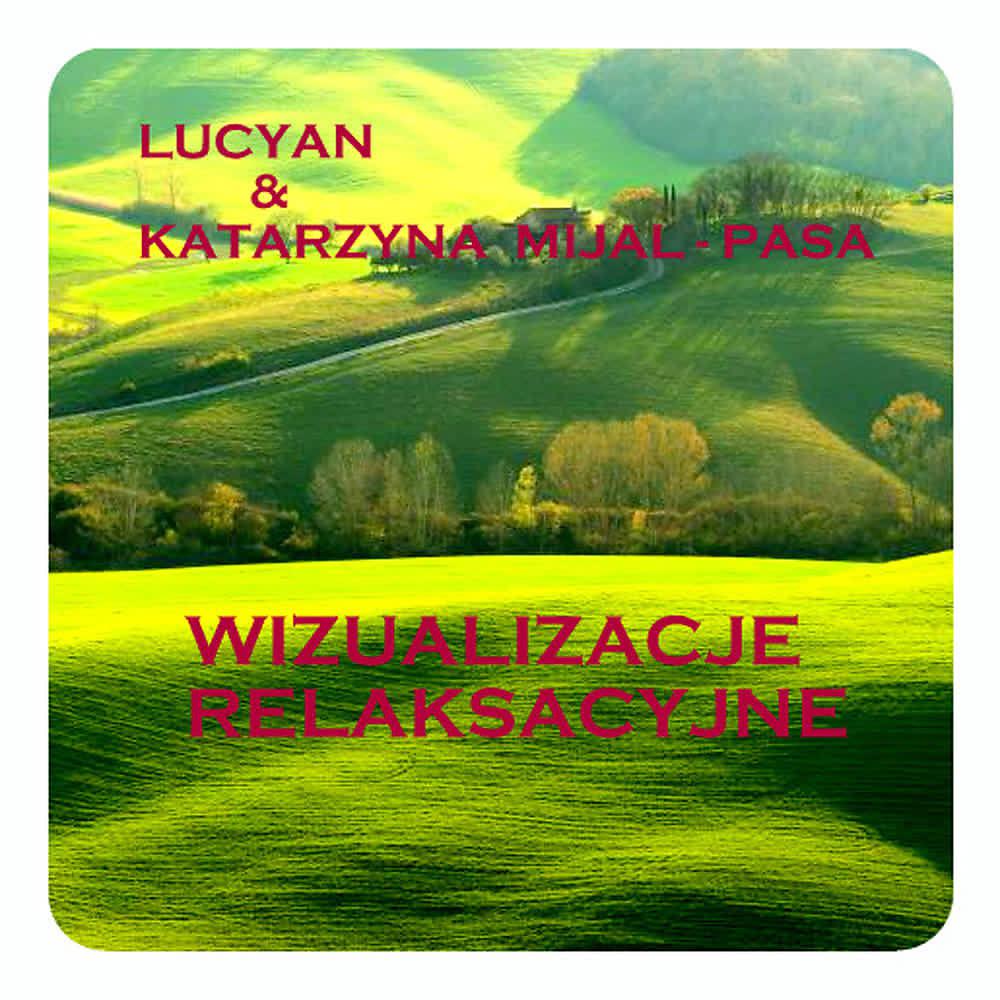 Постер альбома Wizualizacje Relaksacyjne