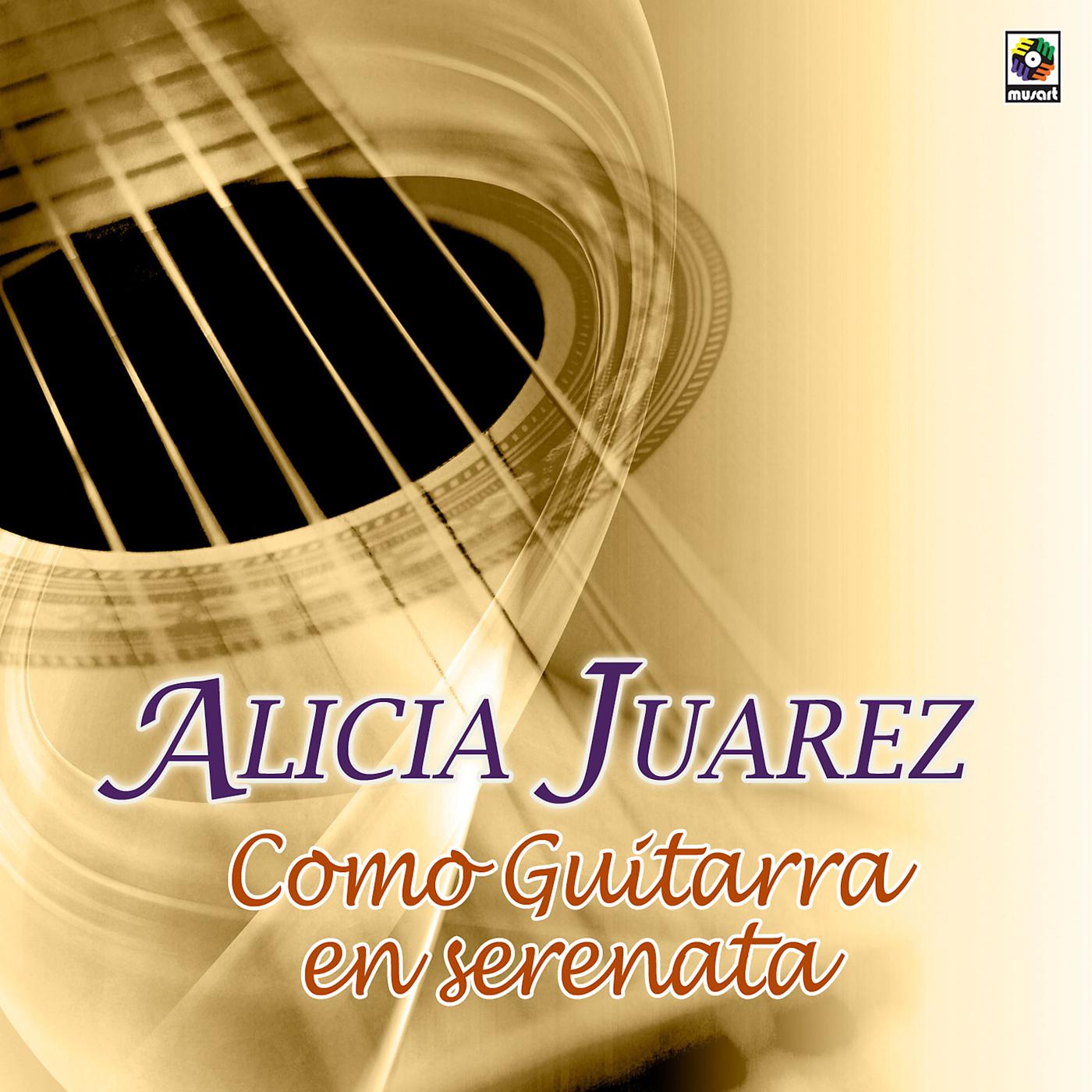 Постер альбома Como Guitarra En Serenata
