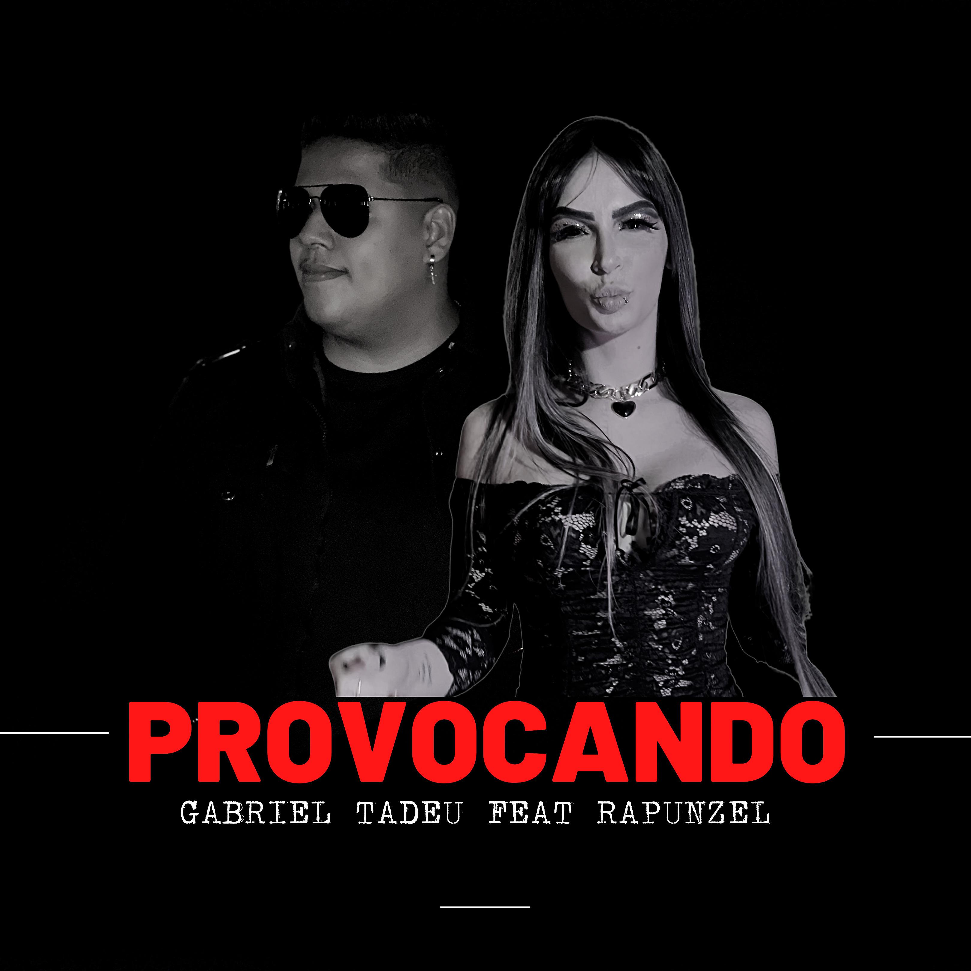 Постер альбома Provocando