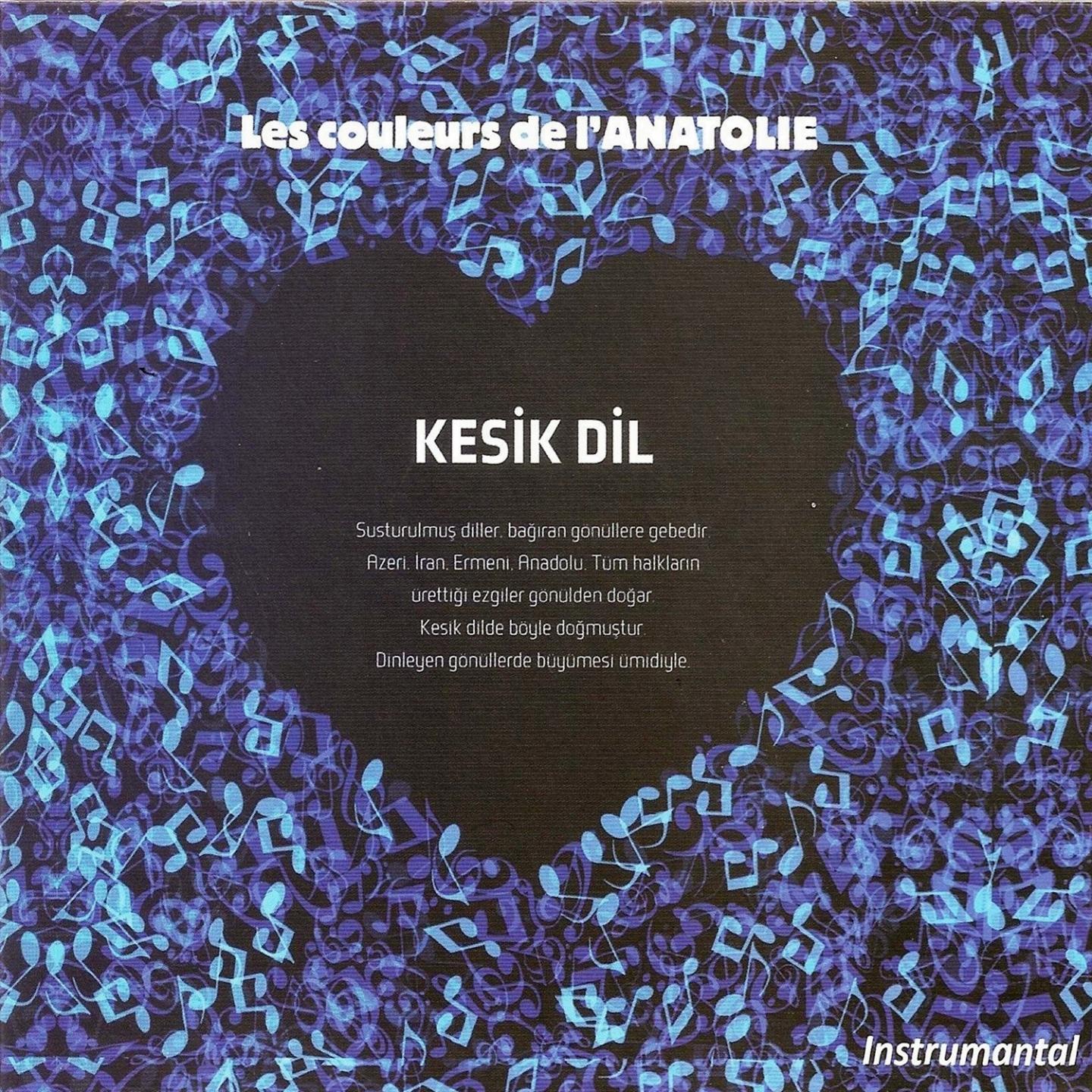 Постер альбома Kesik Dil