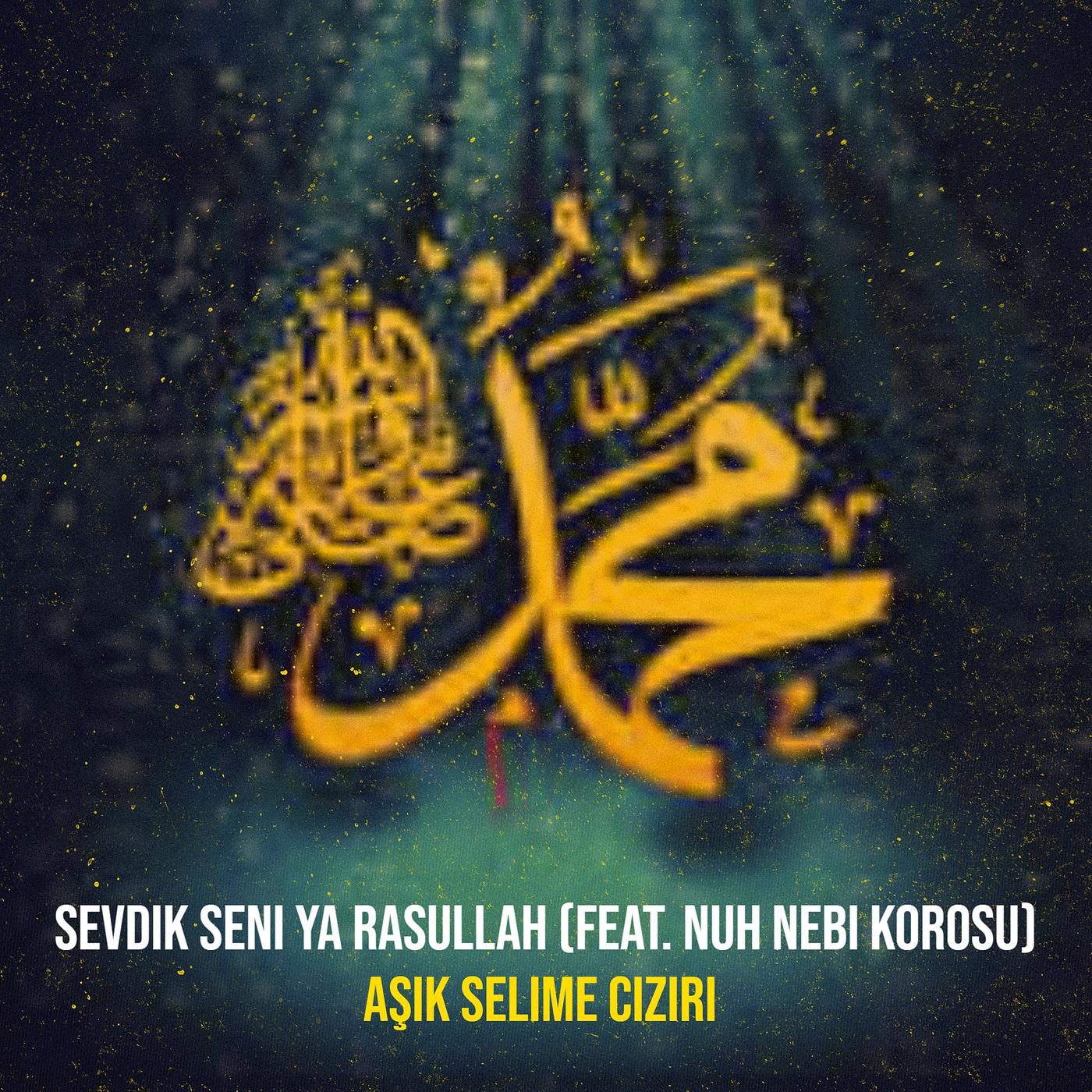 Постер альбома Sevdik Seni Ya Rasullah