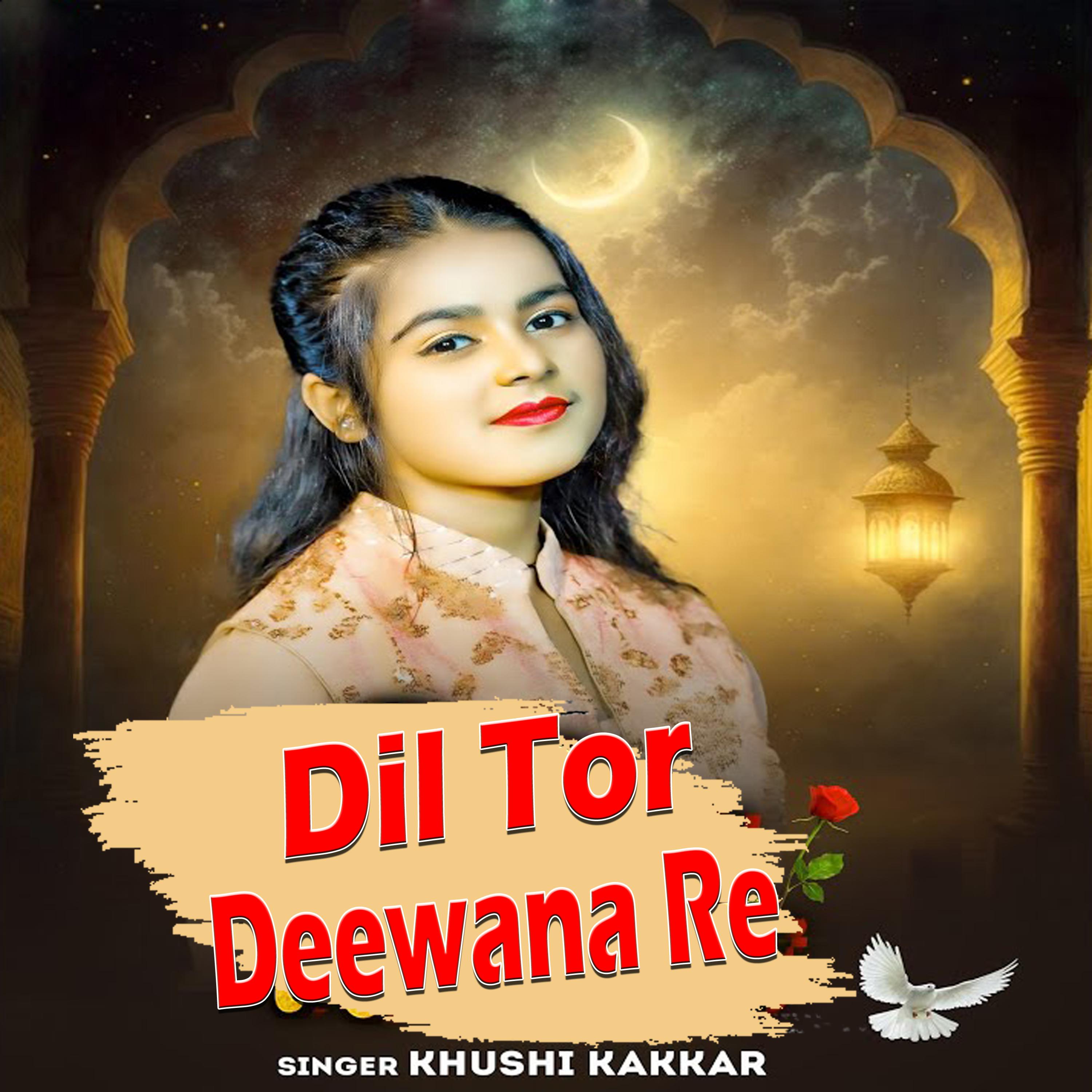 Постер альбома Dil Tor Deewana Re