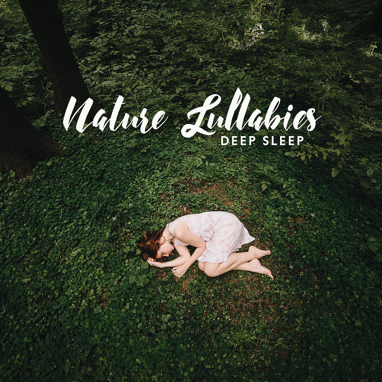 Постер альбома Nature Lullabies