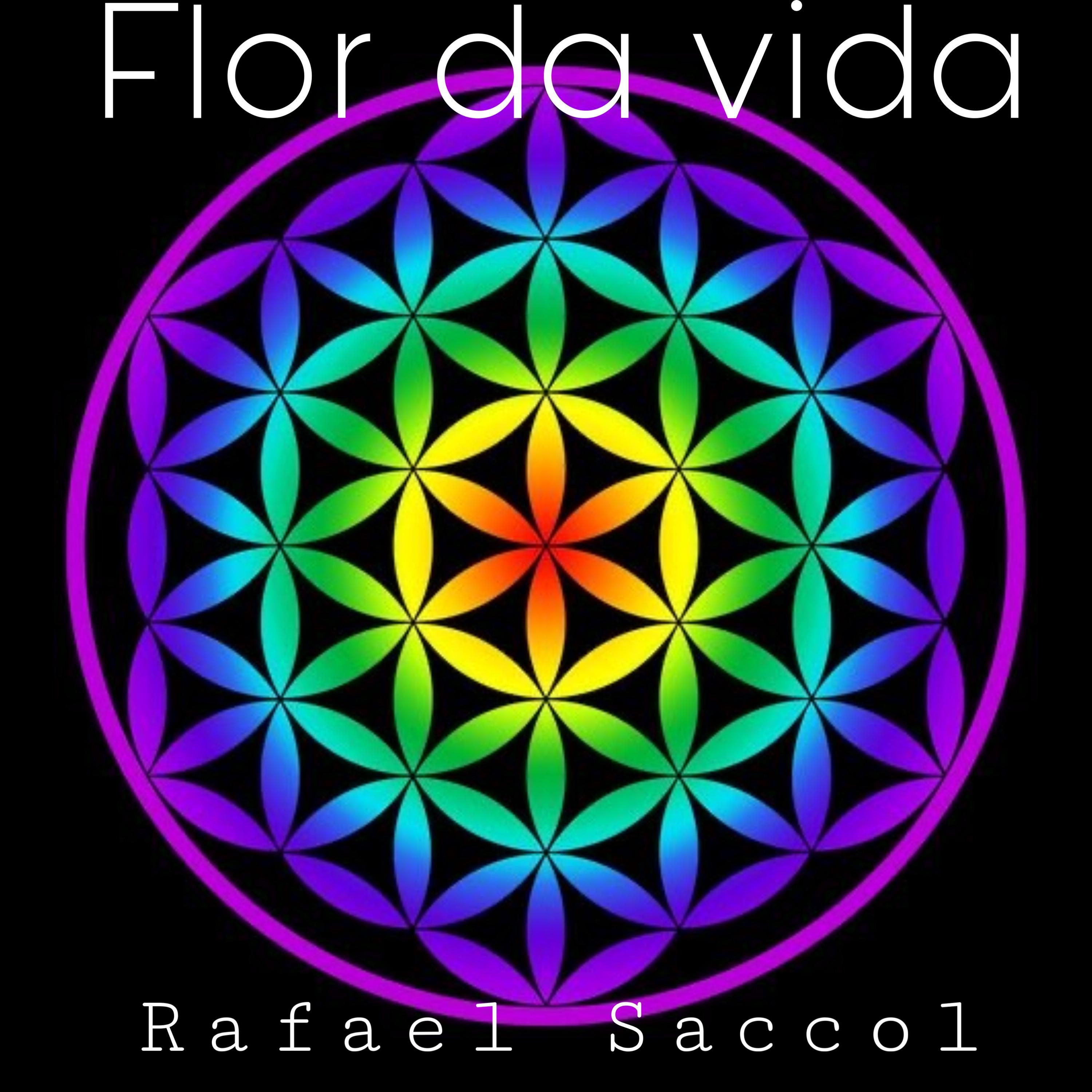 Постер альбома Flor da Vida