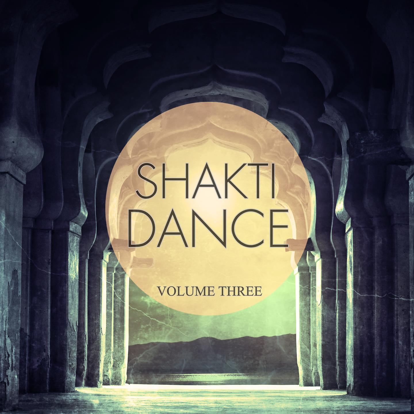 Постер альбома Shakti Dance, Vol. 3