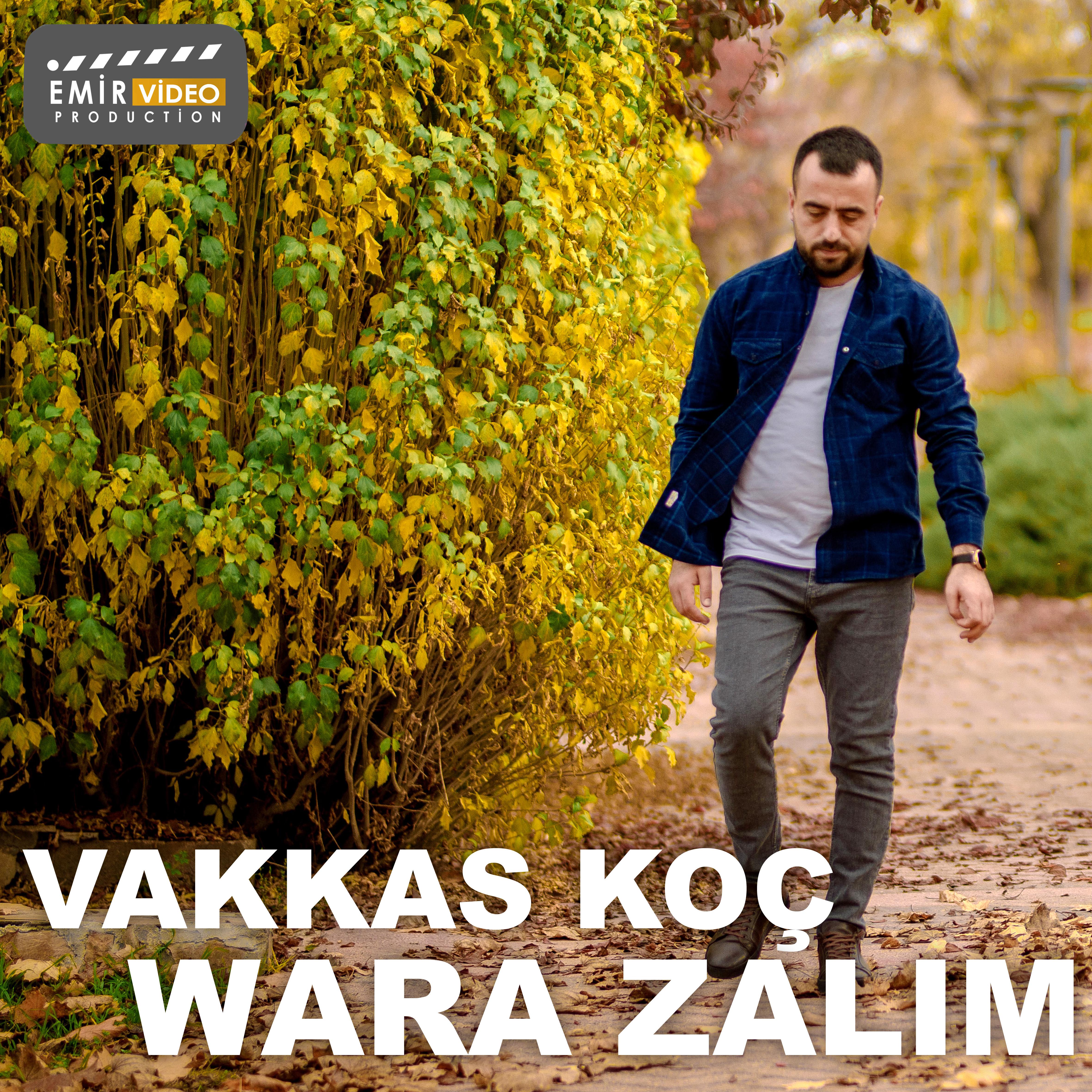 Постер альбома Wara Zalım