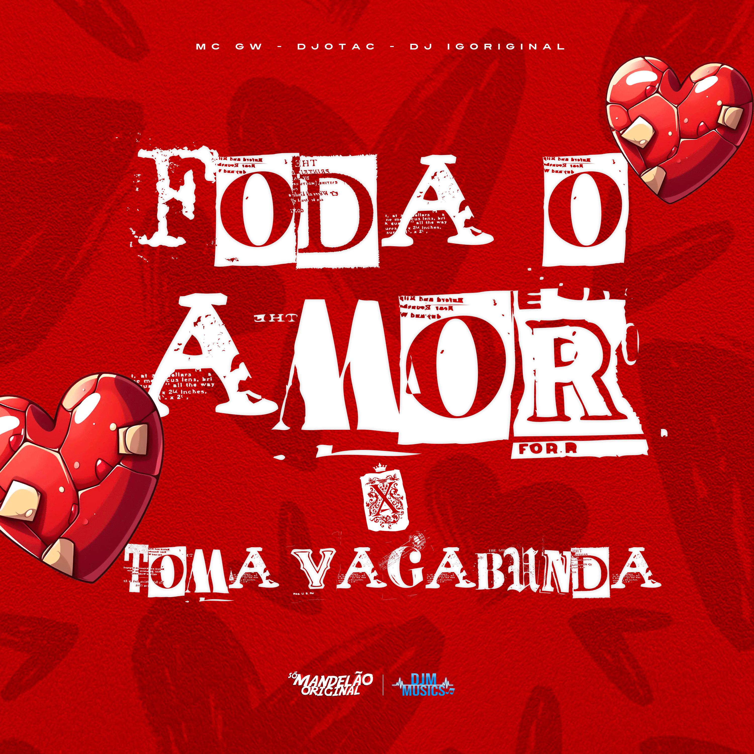 Постер альбома Que Foda o Amor X Toma Vagabunda