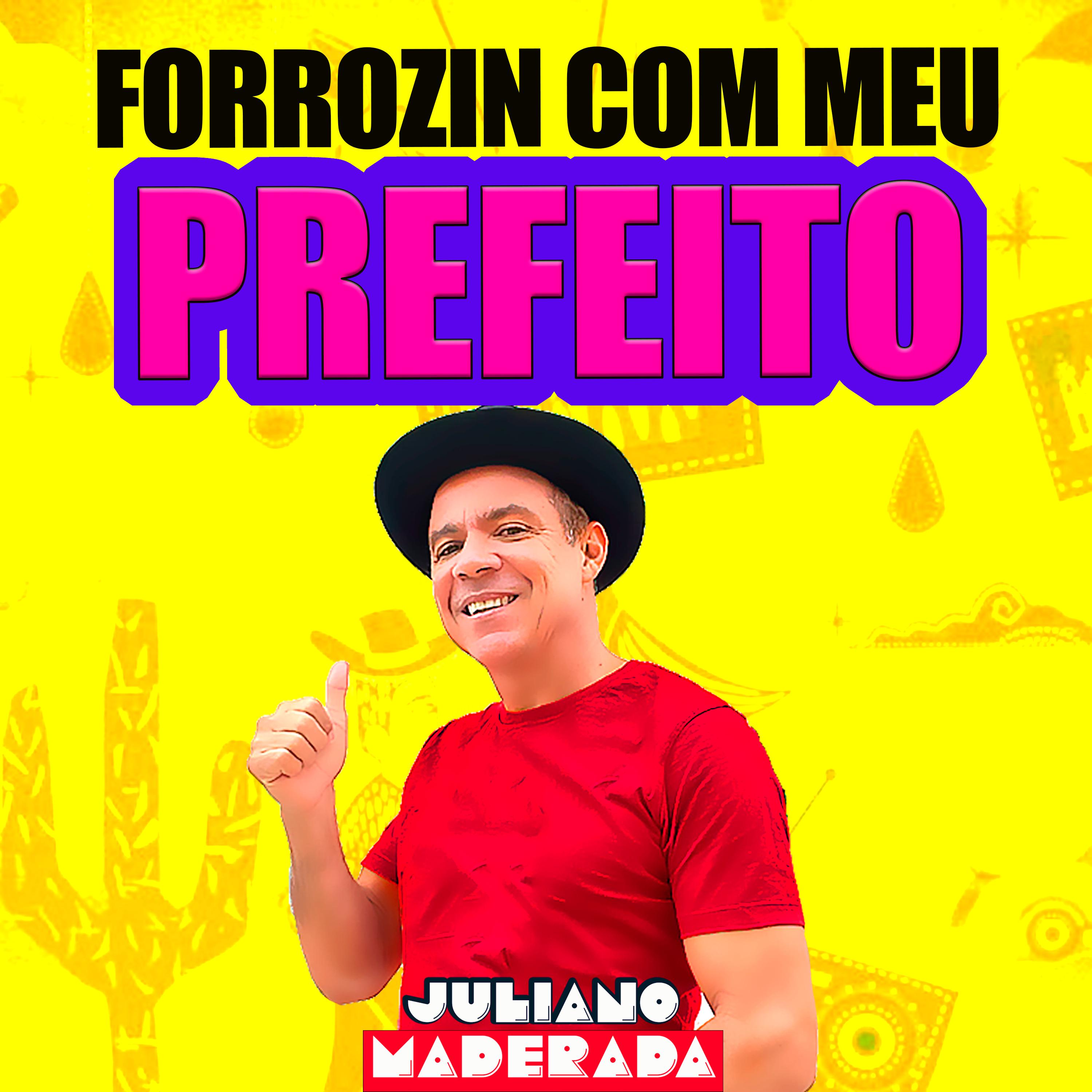 Постер альбома Forrozin Com Meu Prefeito