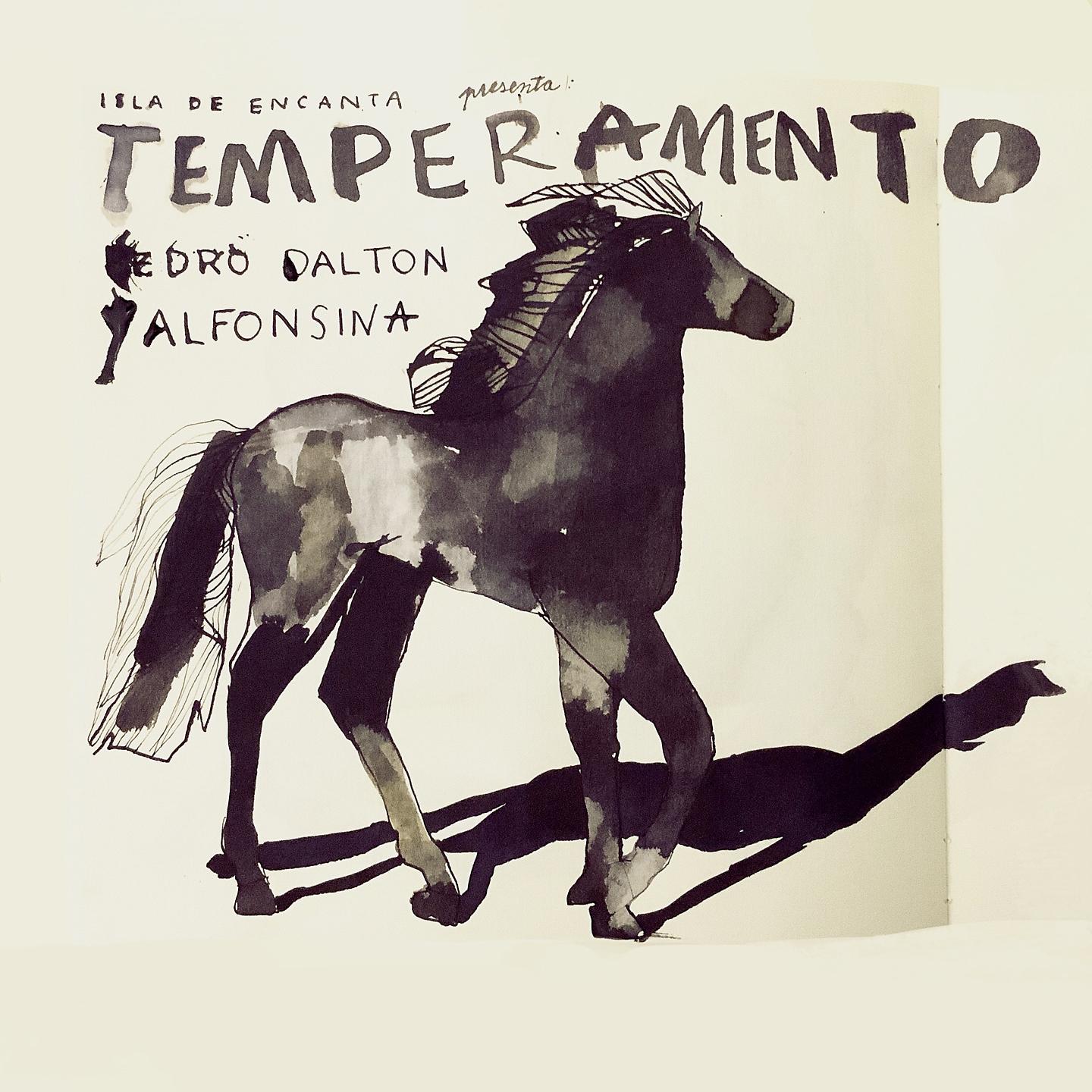 Постер альбома Temperamento