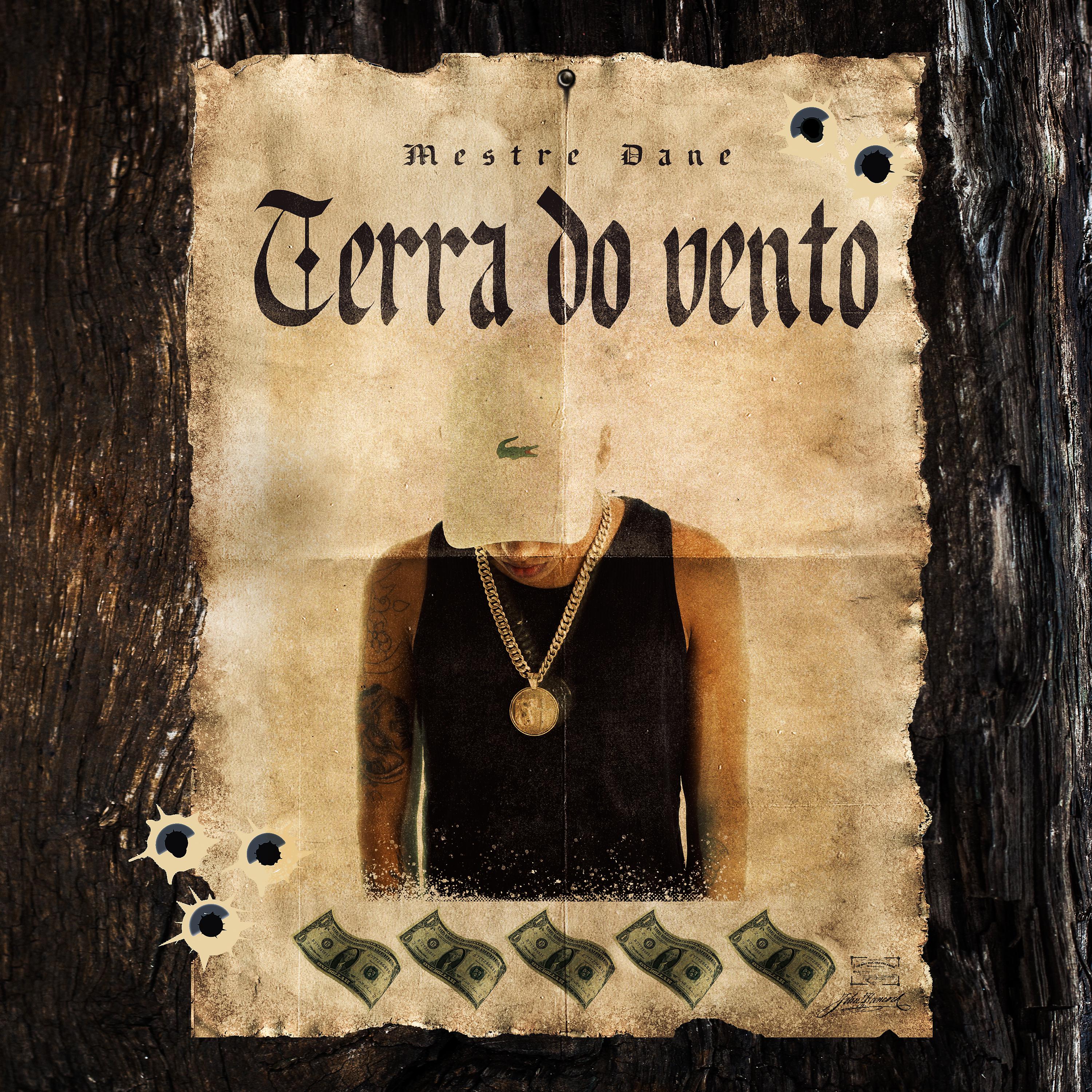 Постер альбома Terra do Vento