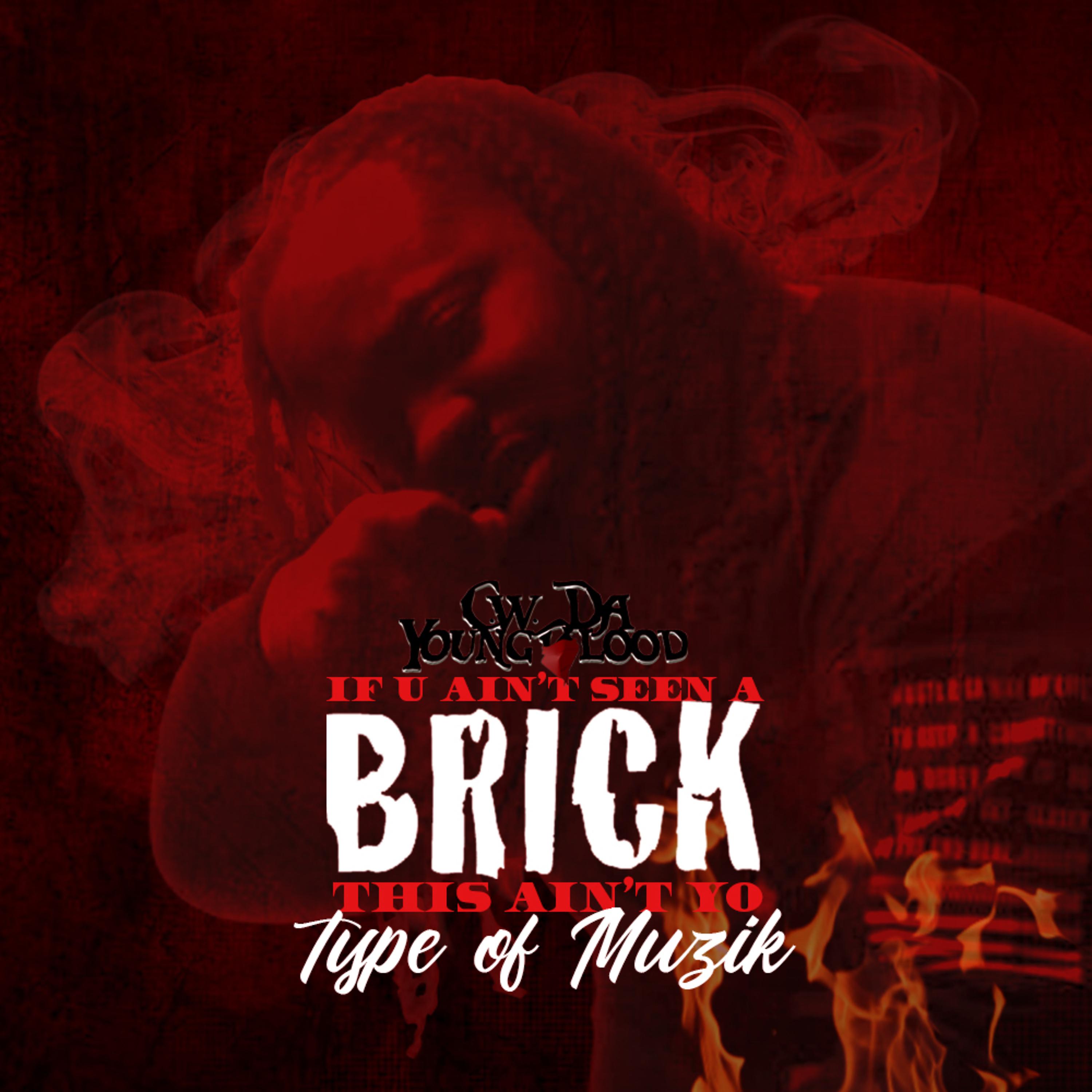 Постер альбома If U Ain't Seen a Brick This Ain't Yo Type of Muzik