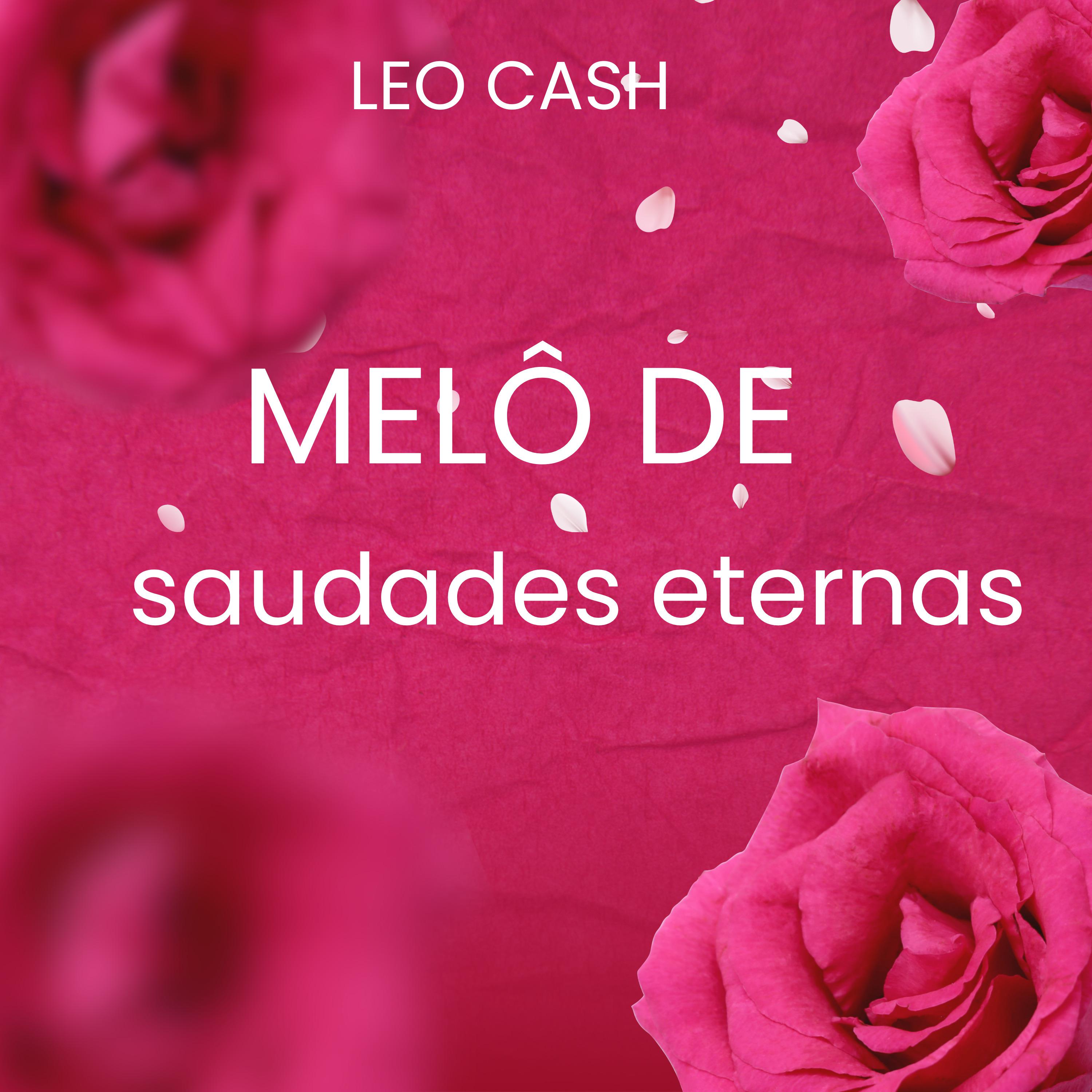 Постер альбома Melô de Saudades Eternas