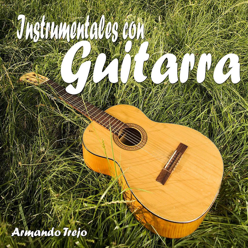 Постер альбома Instrumentales Con Guitarra