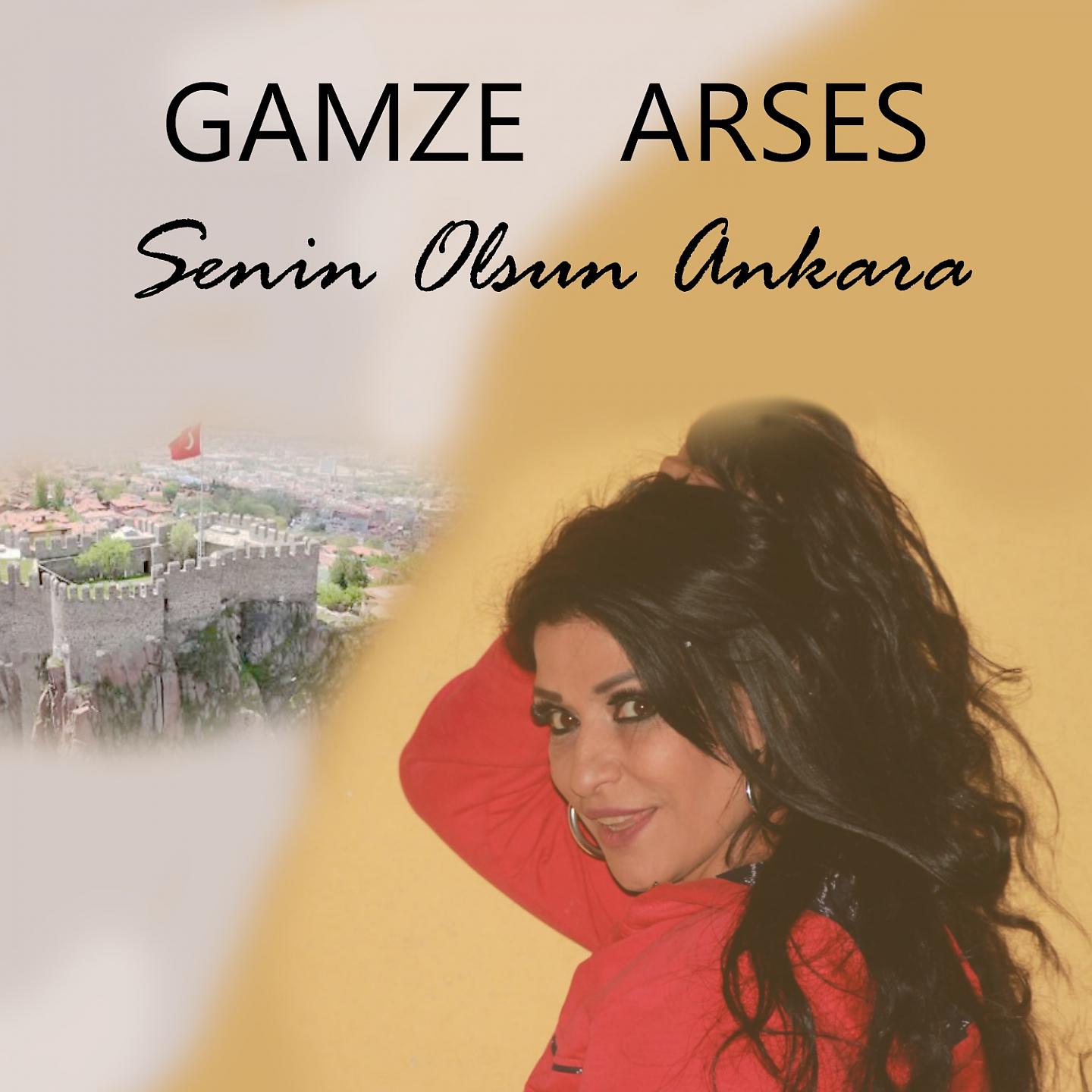 Постер альбома Senin Olsun Ankara