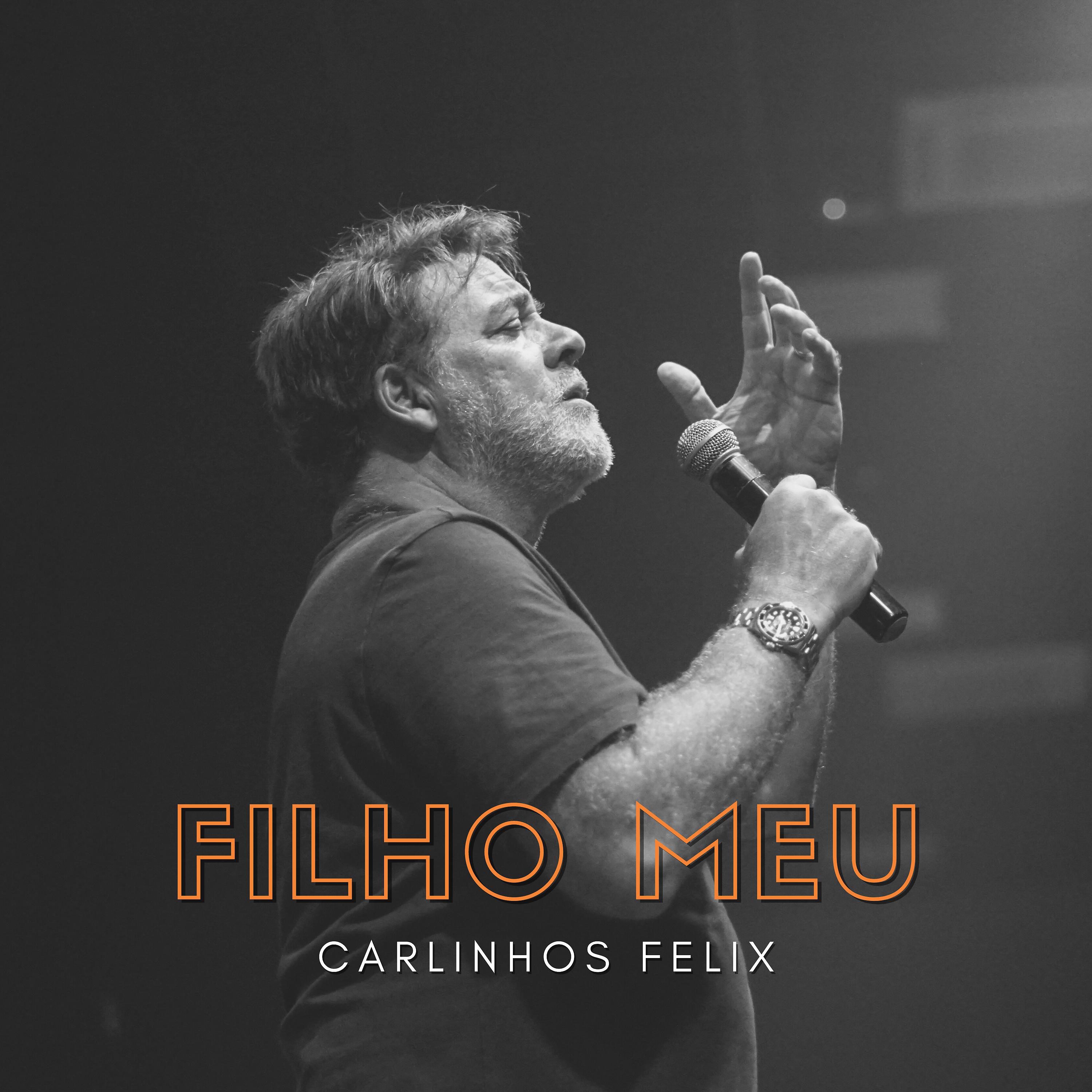 Постер альбома Filho Meu
