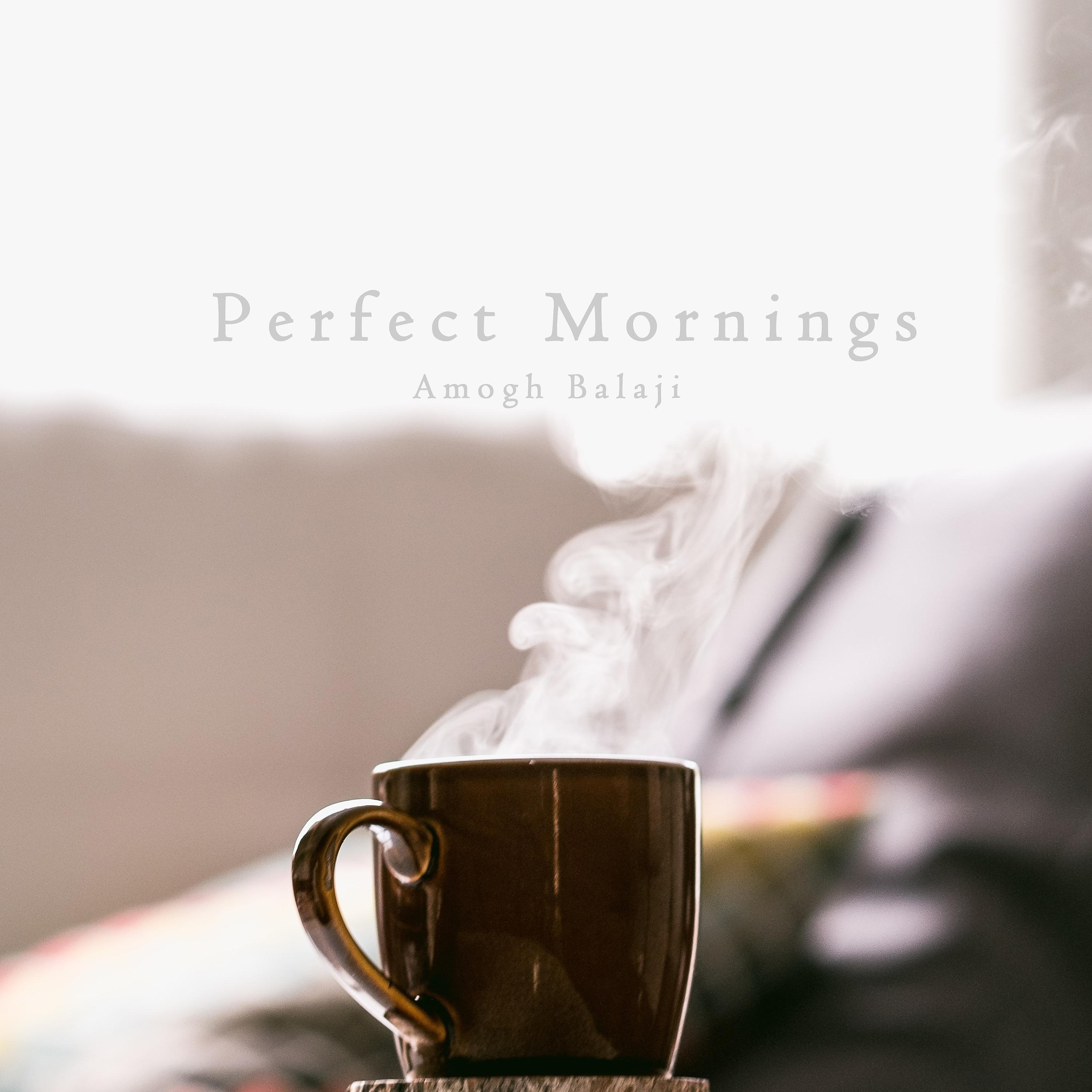 Постер альбома Perfect Mornings