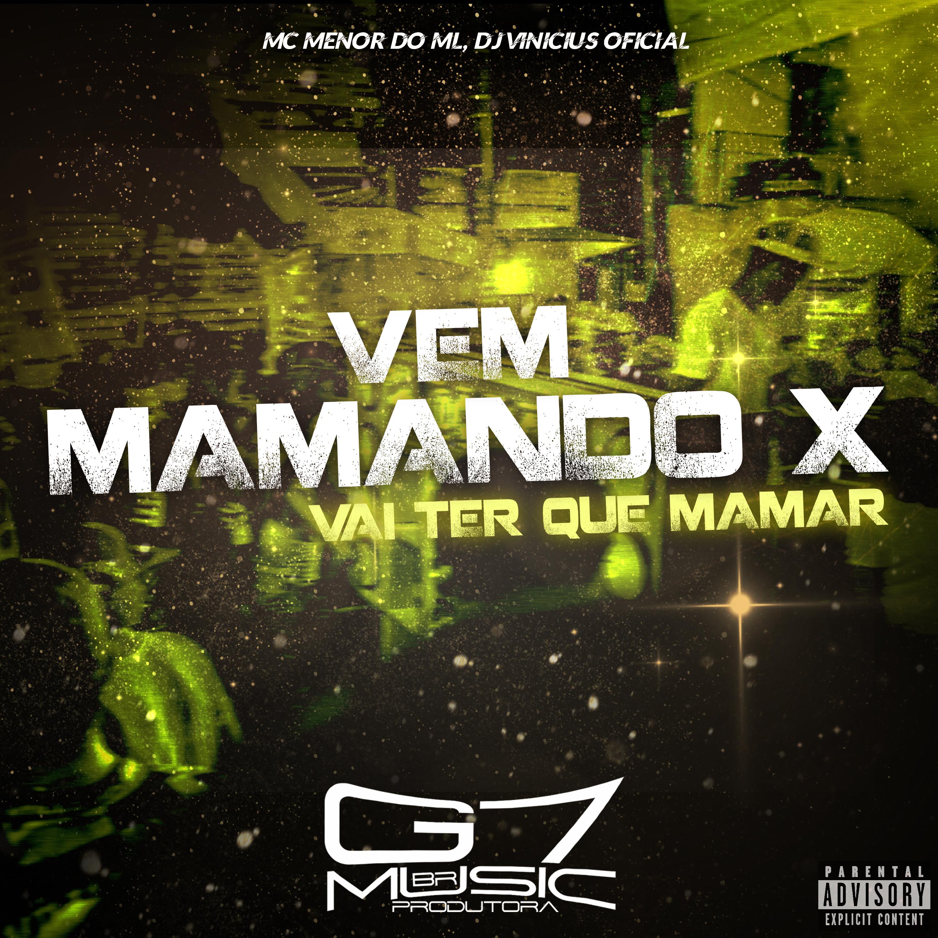 Постер альбома Vem Mamando × Vai Ter Que Mamar