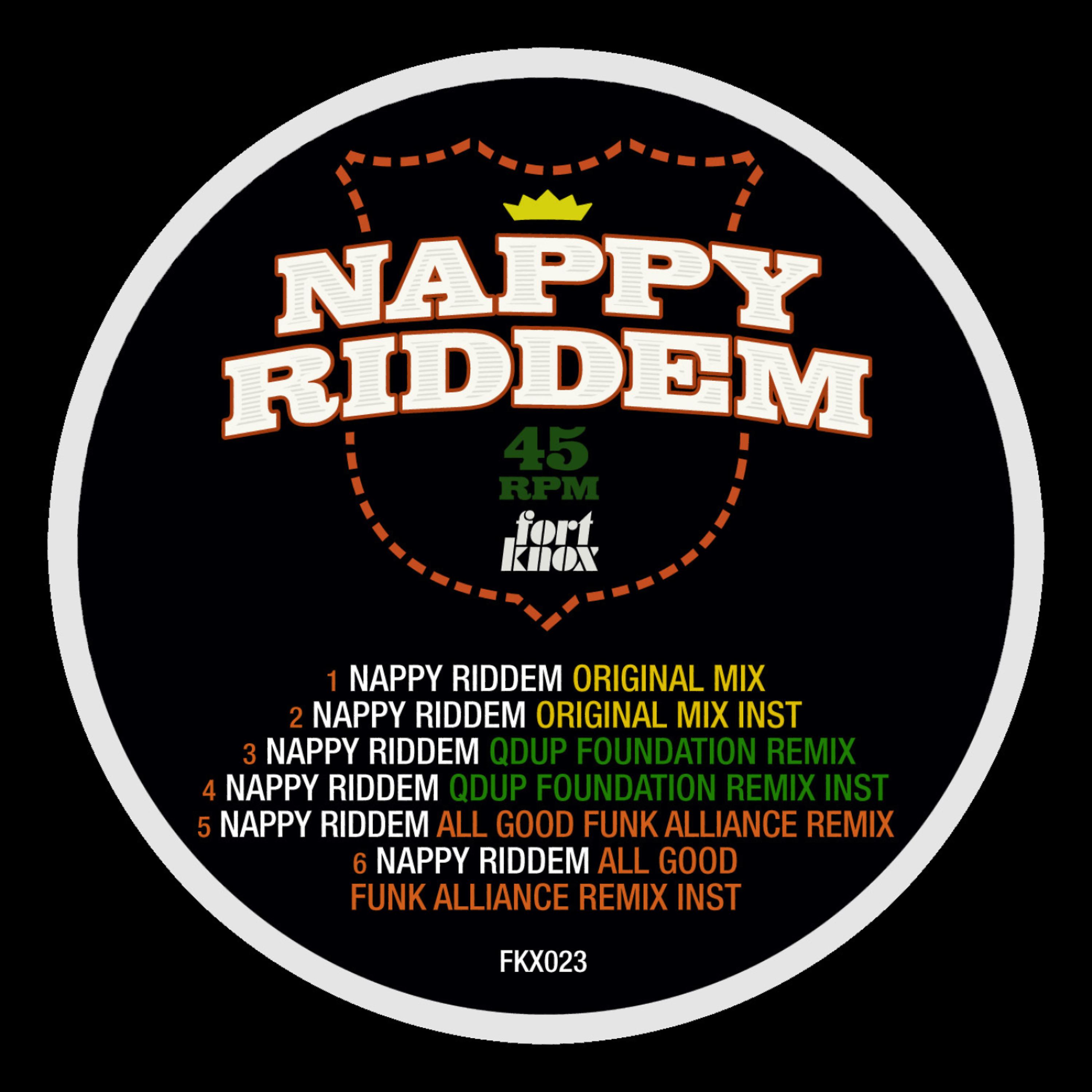 Постер альбома Nappy Riddem