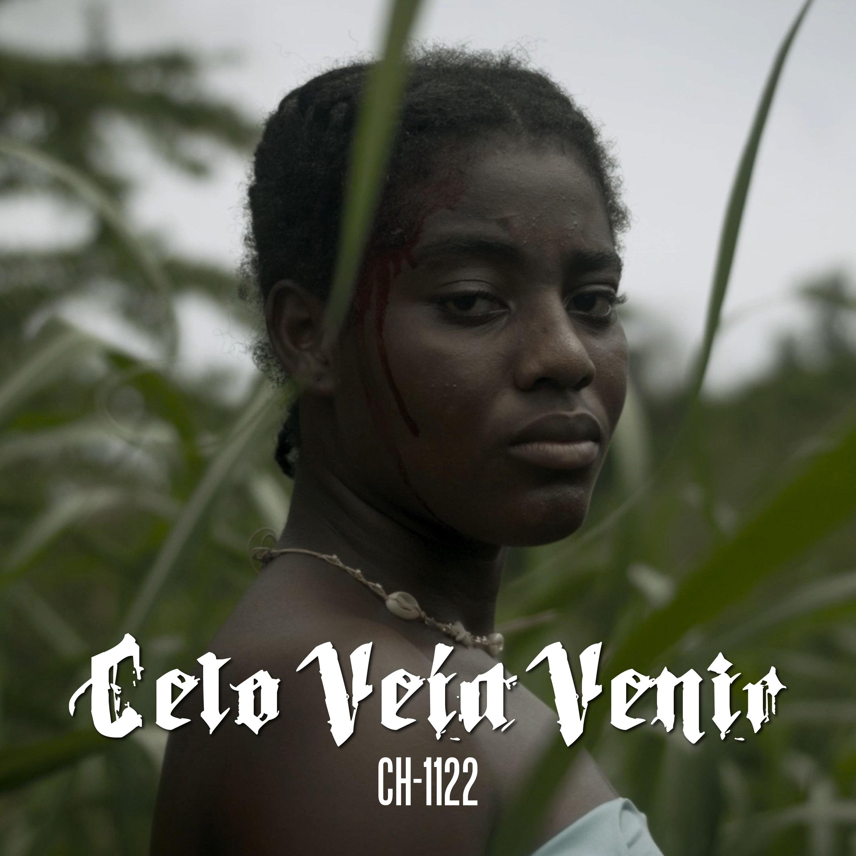 Постер альбома Celo Veía Venir