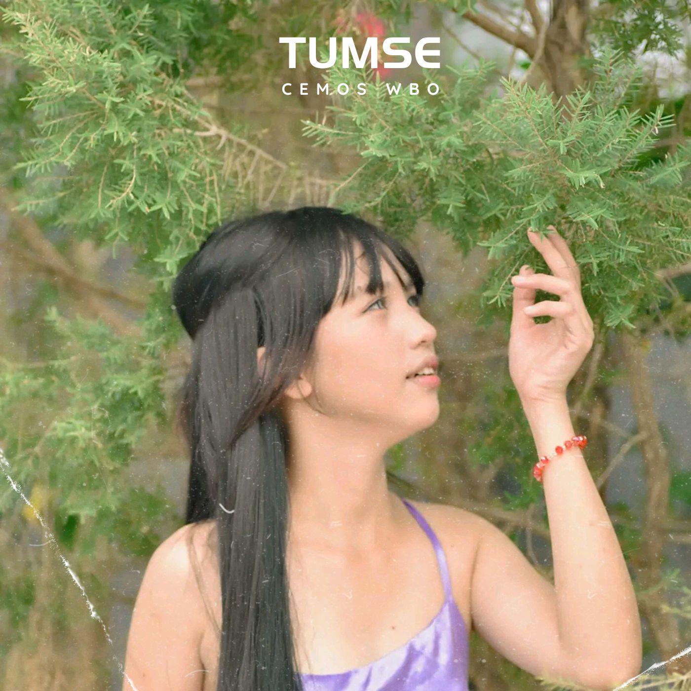 Постер альбома TUMSE