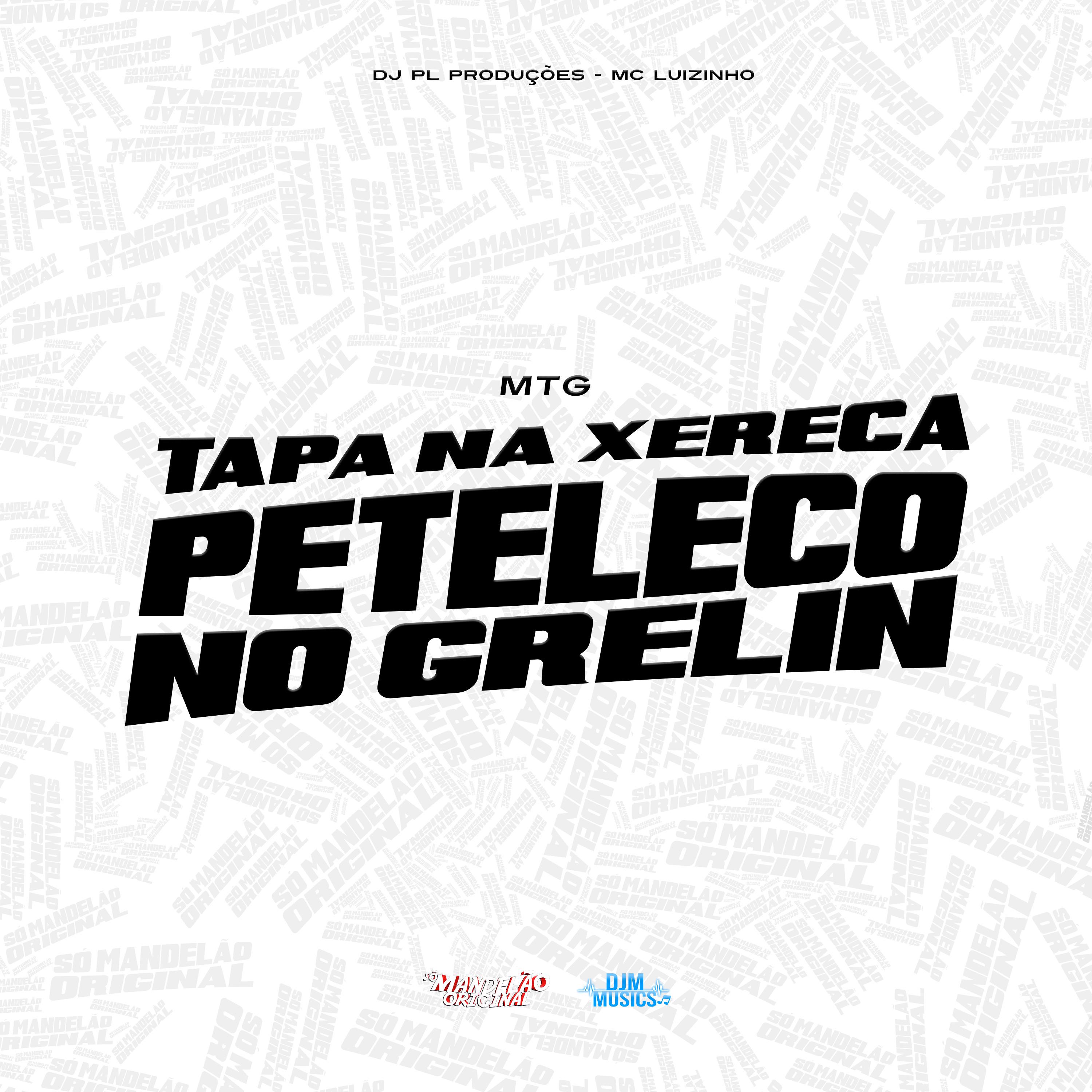Постер альбома Mtg Tapa na Xereca Peteleco no Grelin