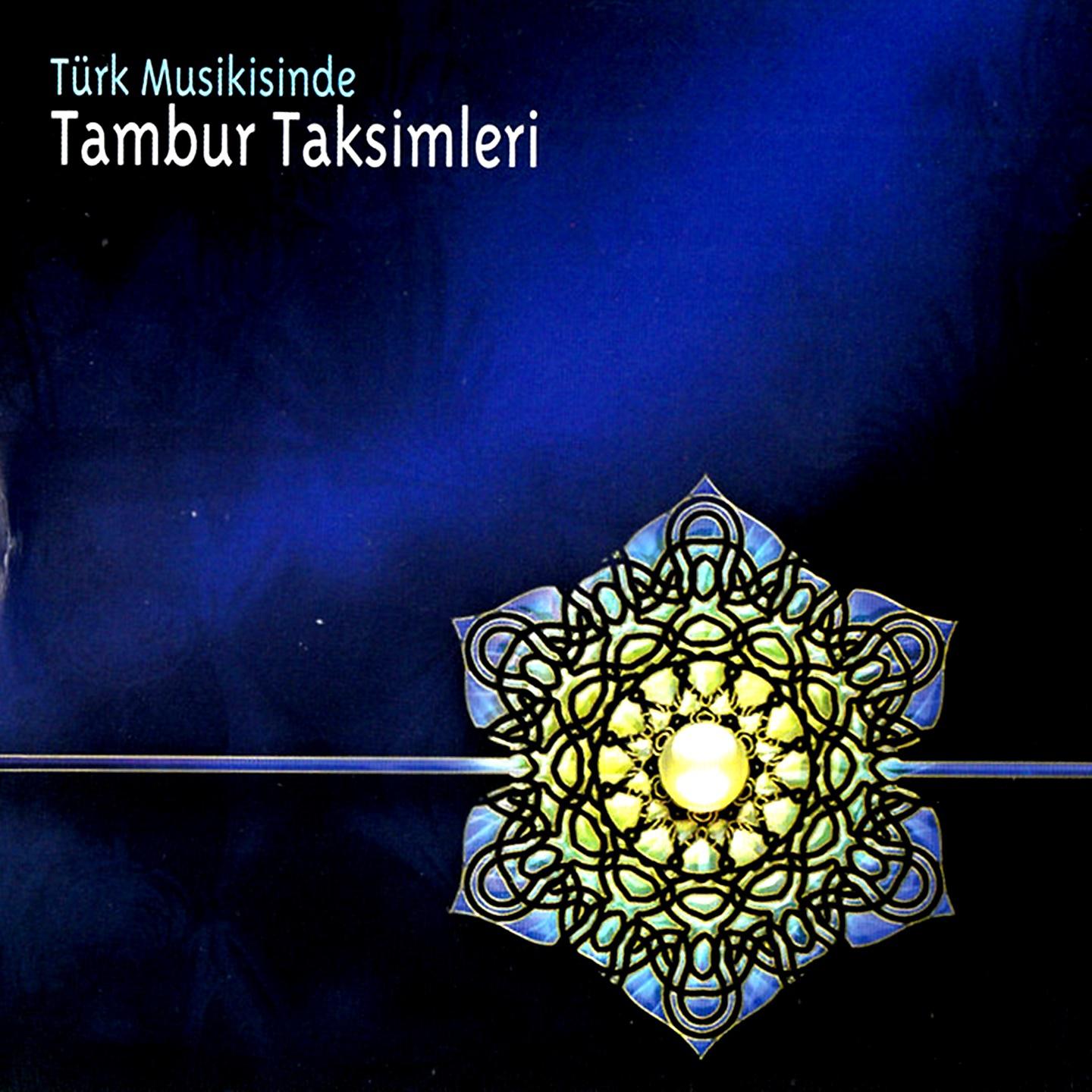 Постер альбома Tambur Taksimleri