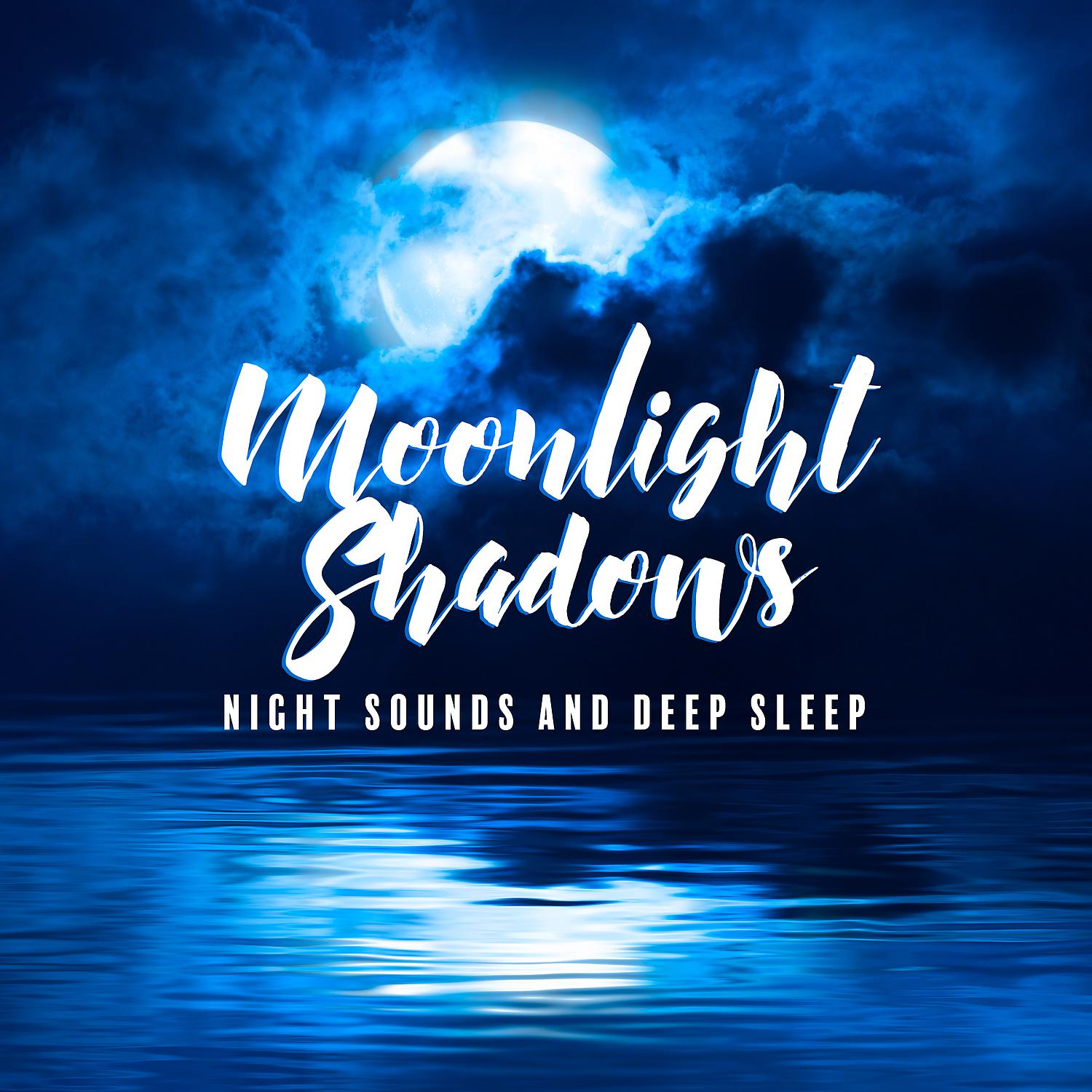 Постер альбома Moonlight Shadows - Night Sounds and Deep Sleep Relaxation Music