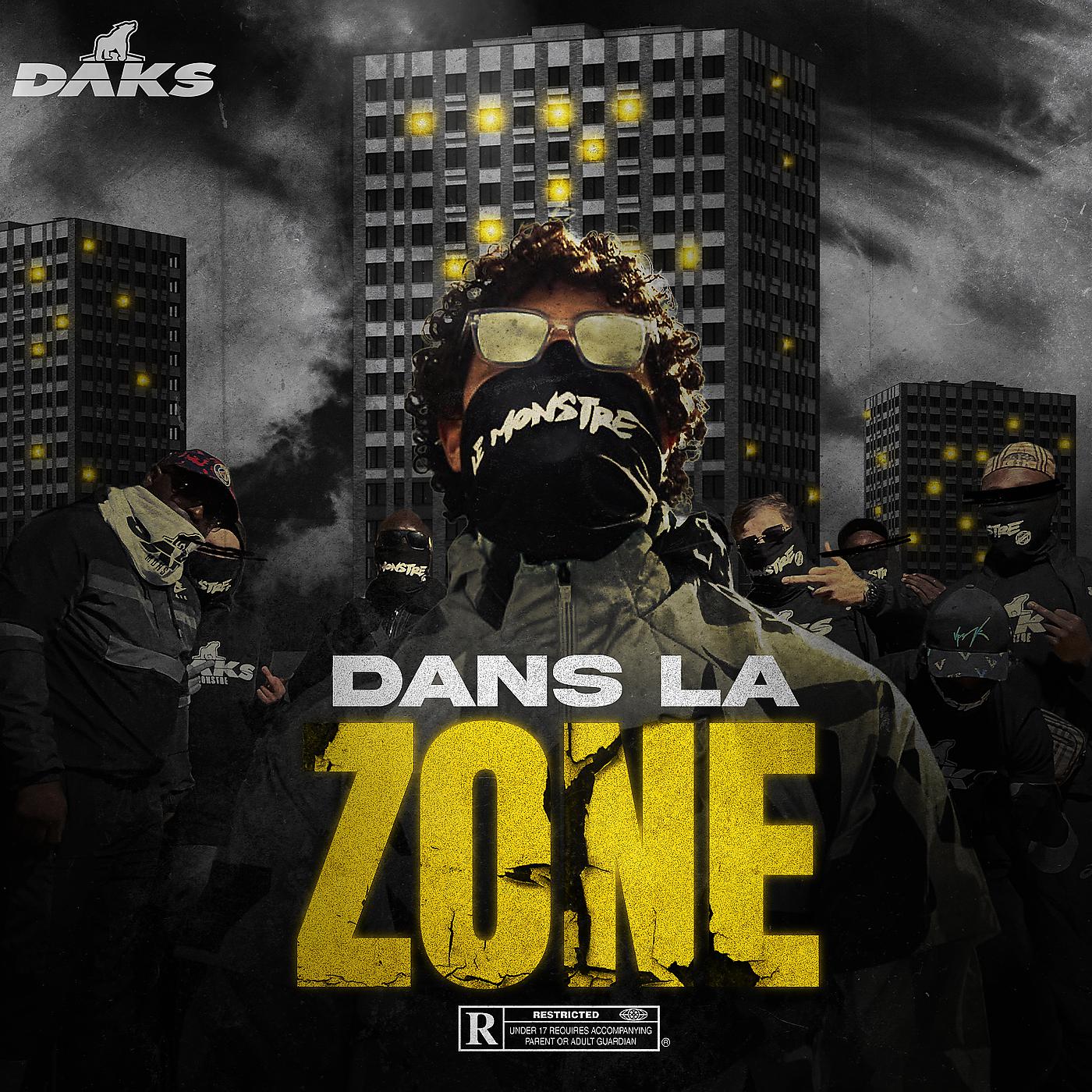 Постер альбома Dans la zone