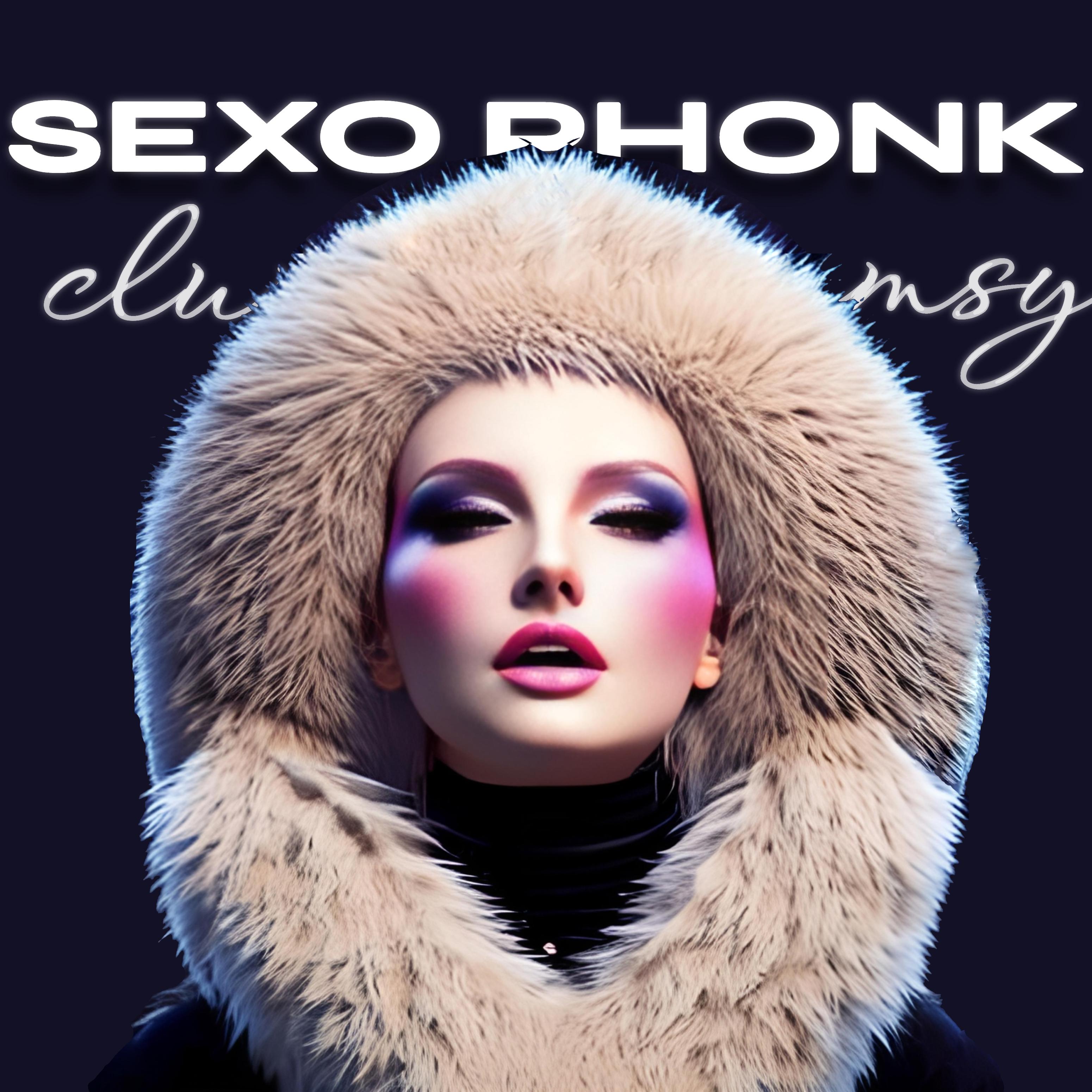 Постер альбома Sexo Phonk