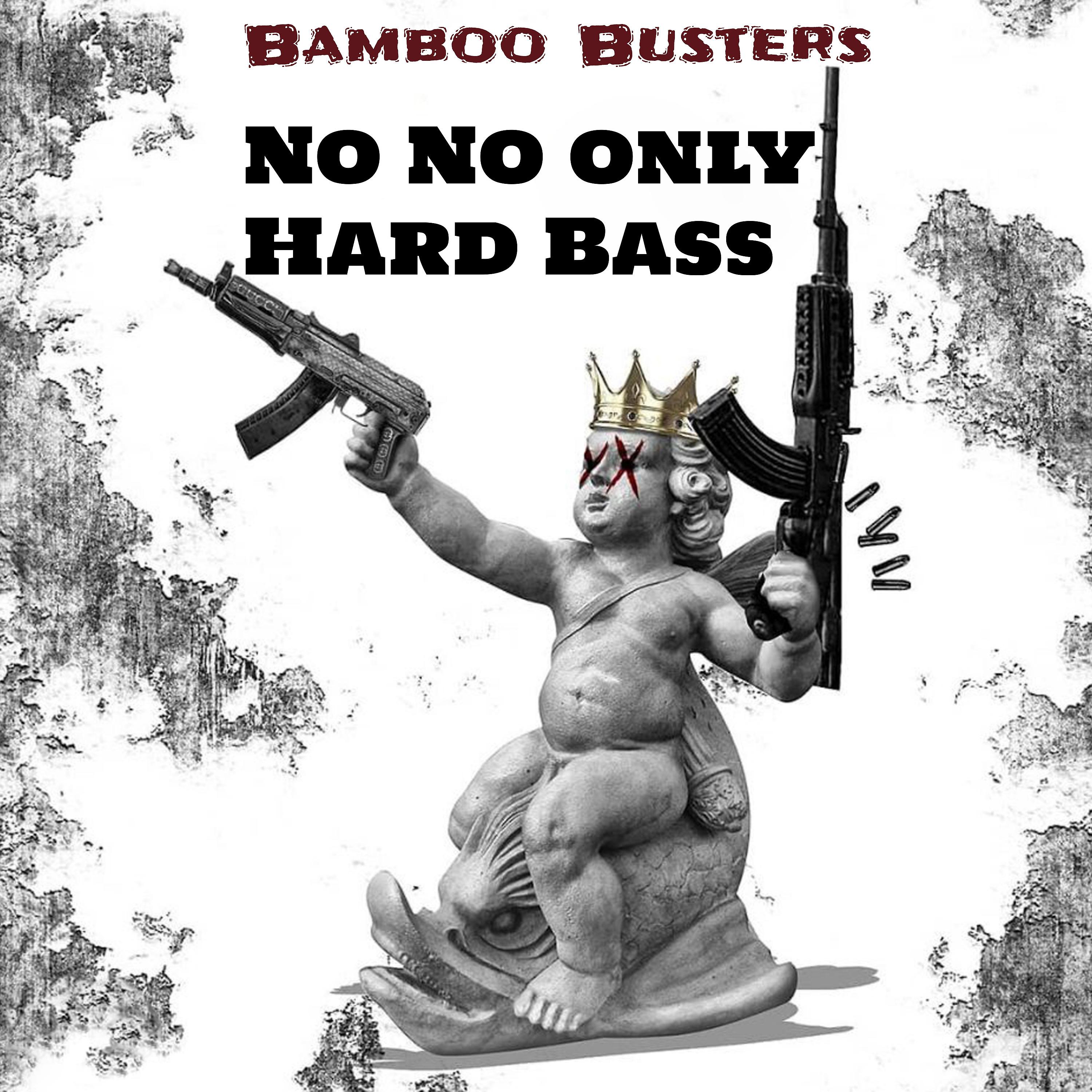 Постер альбома No No Only Hard Bass