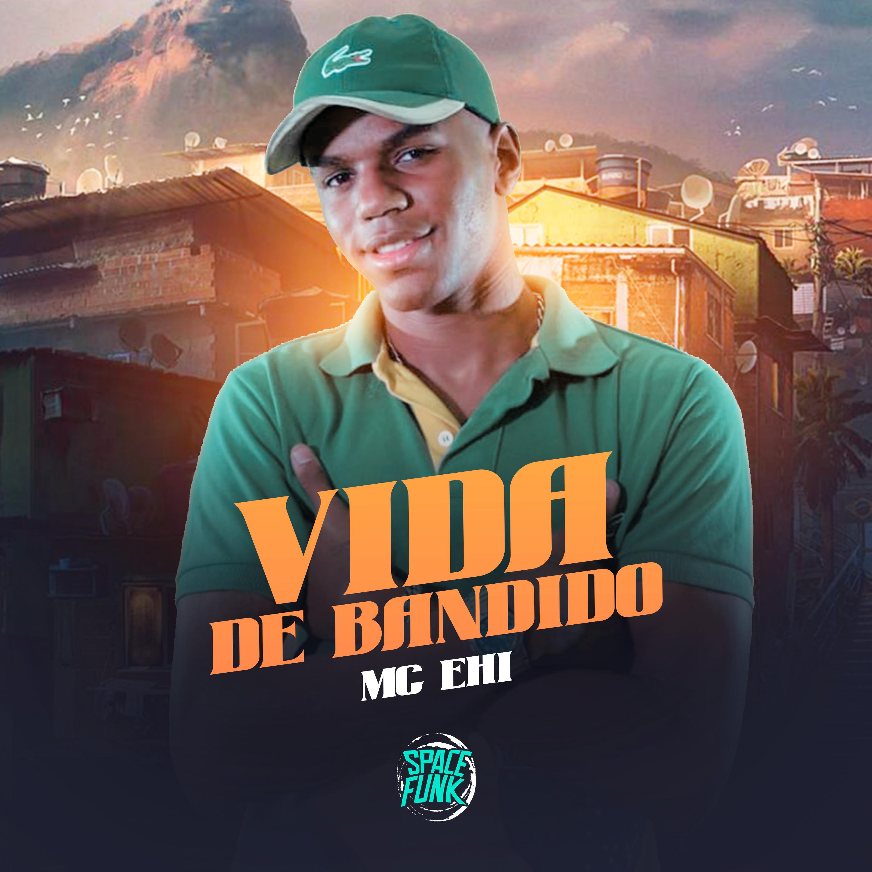 Постер альбома Vida de Bandido