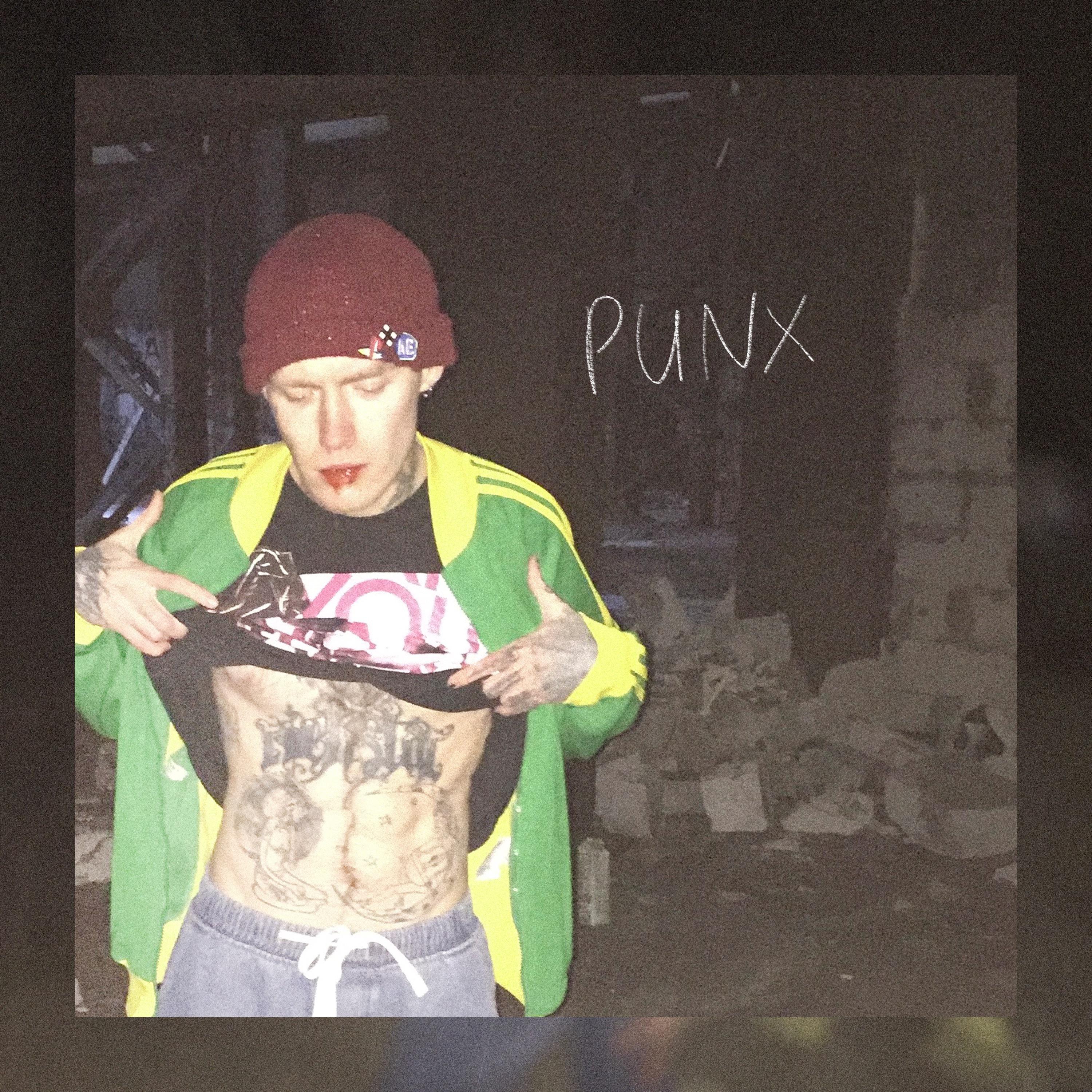 Постер альбома Punx