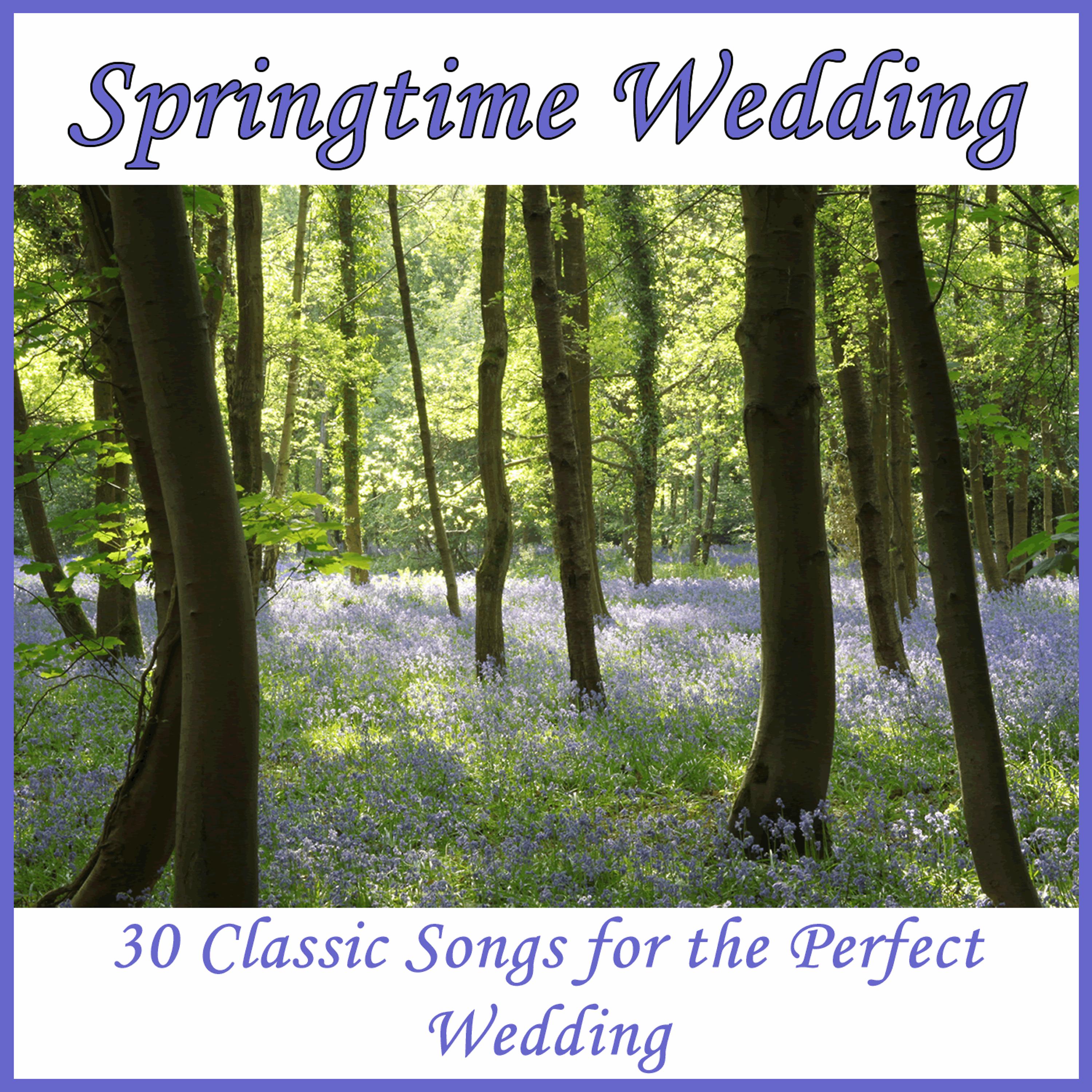 Постер альбома Springtime Wedding: 30 Classic Songs for the Perfect Wedding