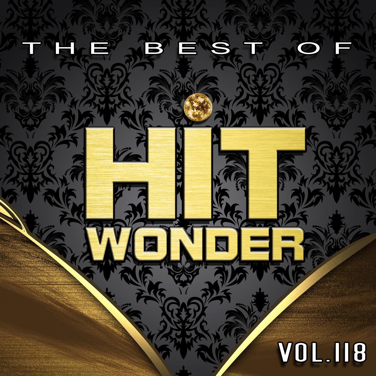 Постер альбома Hit Wonder: The Best of, Vol. 118