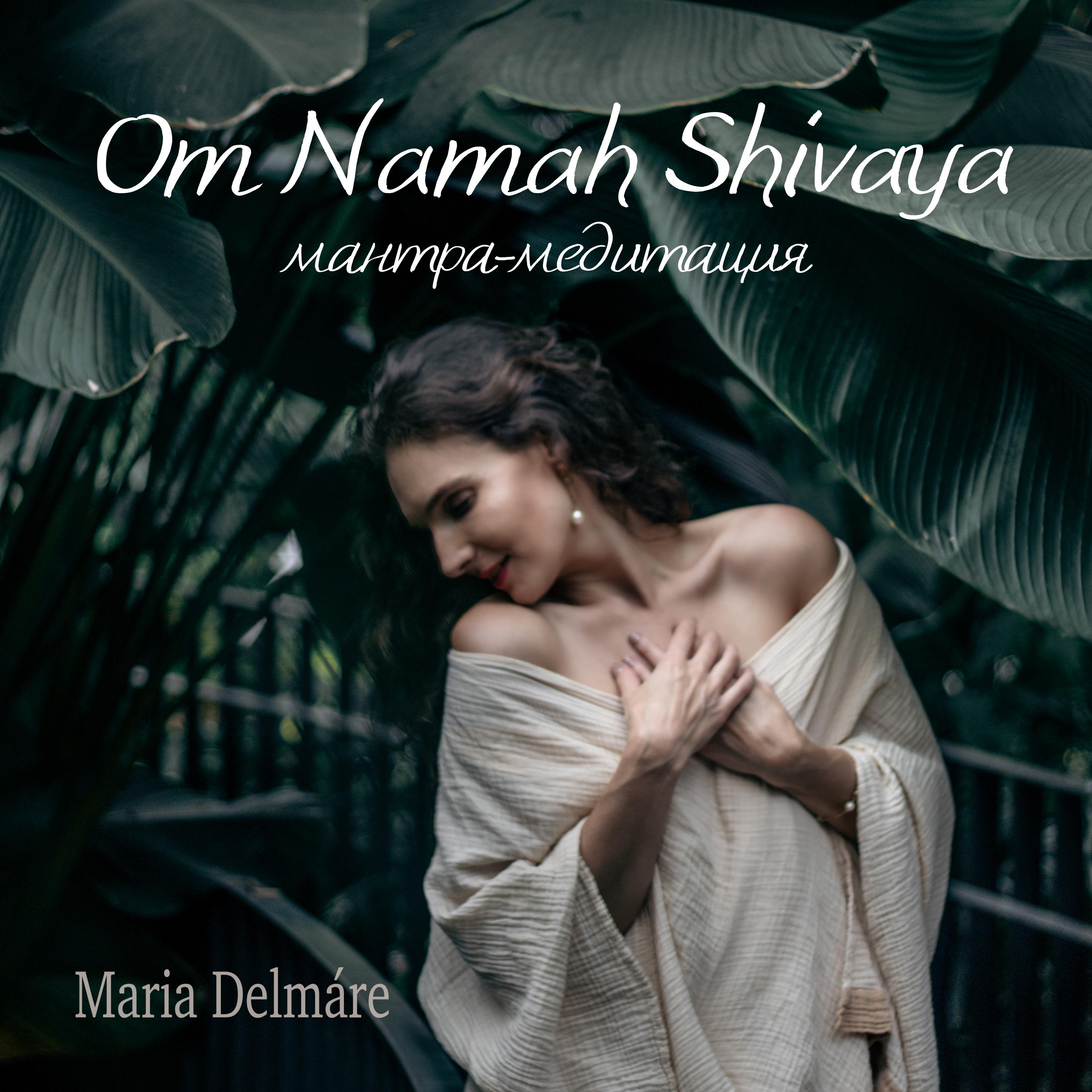 Постер альбома Om Namah Shivaya (мантра-медитация)